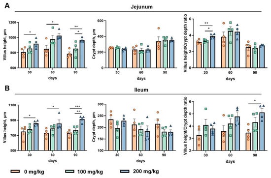 Effects of APS on Intestinal Tissue Morphology of Taihu Geese. (A) Villus height, crypt depth, and villus height-to-crypt depth ratio in the jejunum at 30, 60, and 90 days. (B) Villus height, crypt depth, and villus height-to-crypt depth ratio in the ileum at 30, 60, and 90 days. Data are presented as mean ± SEM (n = 4 biological replicates per treatment). Pairwise comparisons were performed using Tukey’s honestly significant difference (HSD) test following one-way ANOVA at each sampling age. Asterisks indicate significant pairwise differences between the connected groups (* p < 0.05, ** p < 0.01, and *** p < 0.001).
