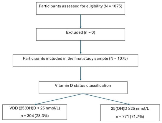 Participant flow diagram and classification according to vitamin D status.
