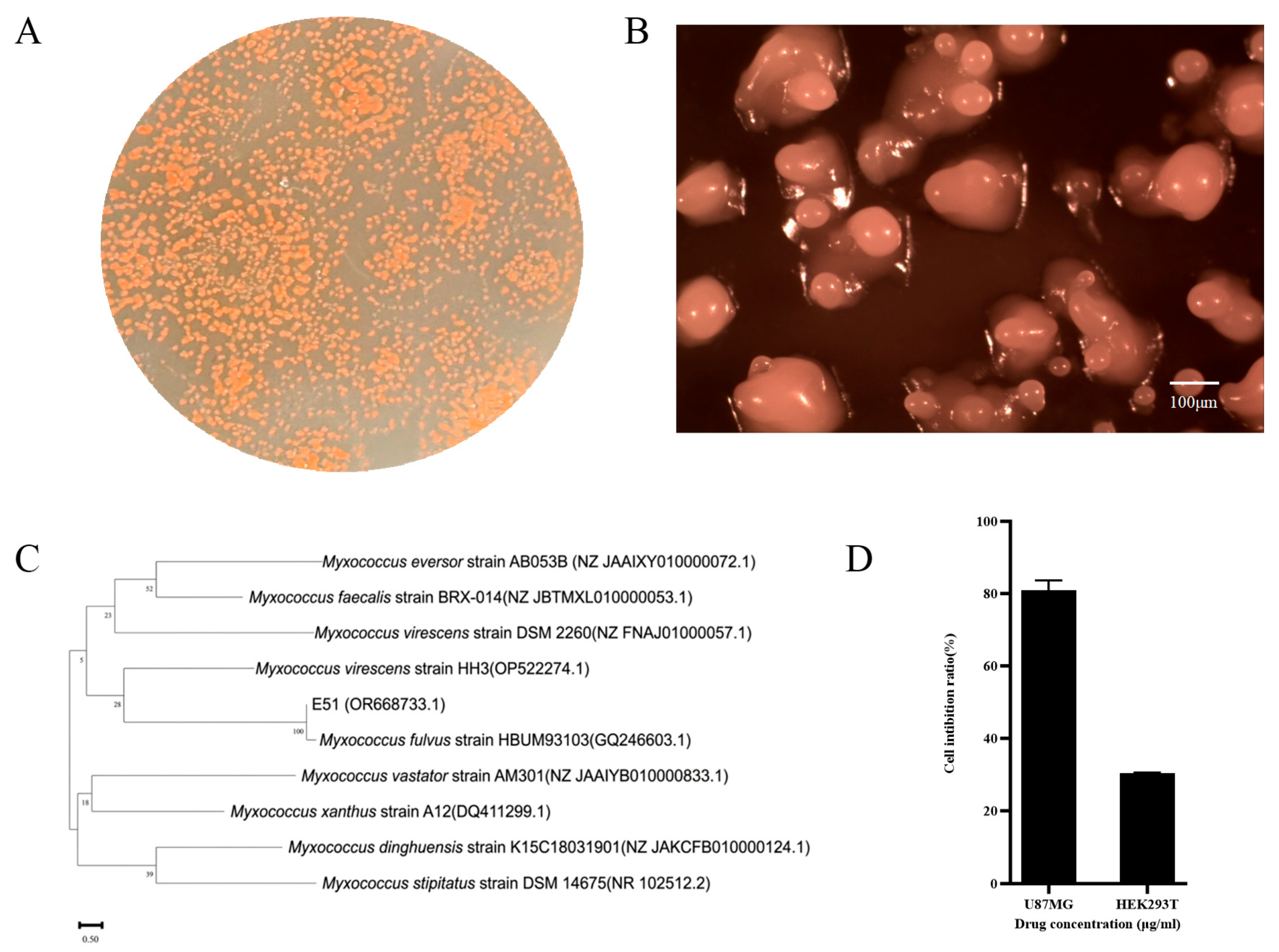 Biomolecules 16 01551 g001 Biomolecules 16 01551 g001