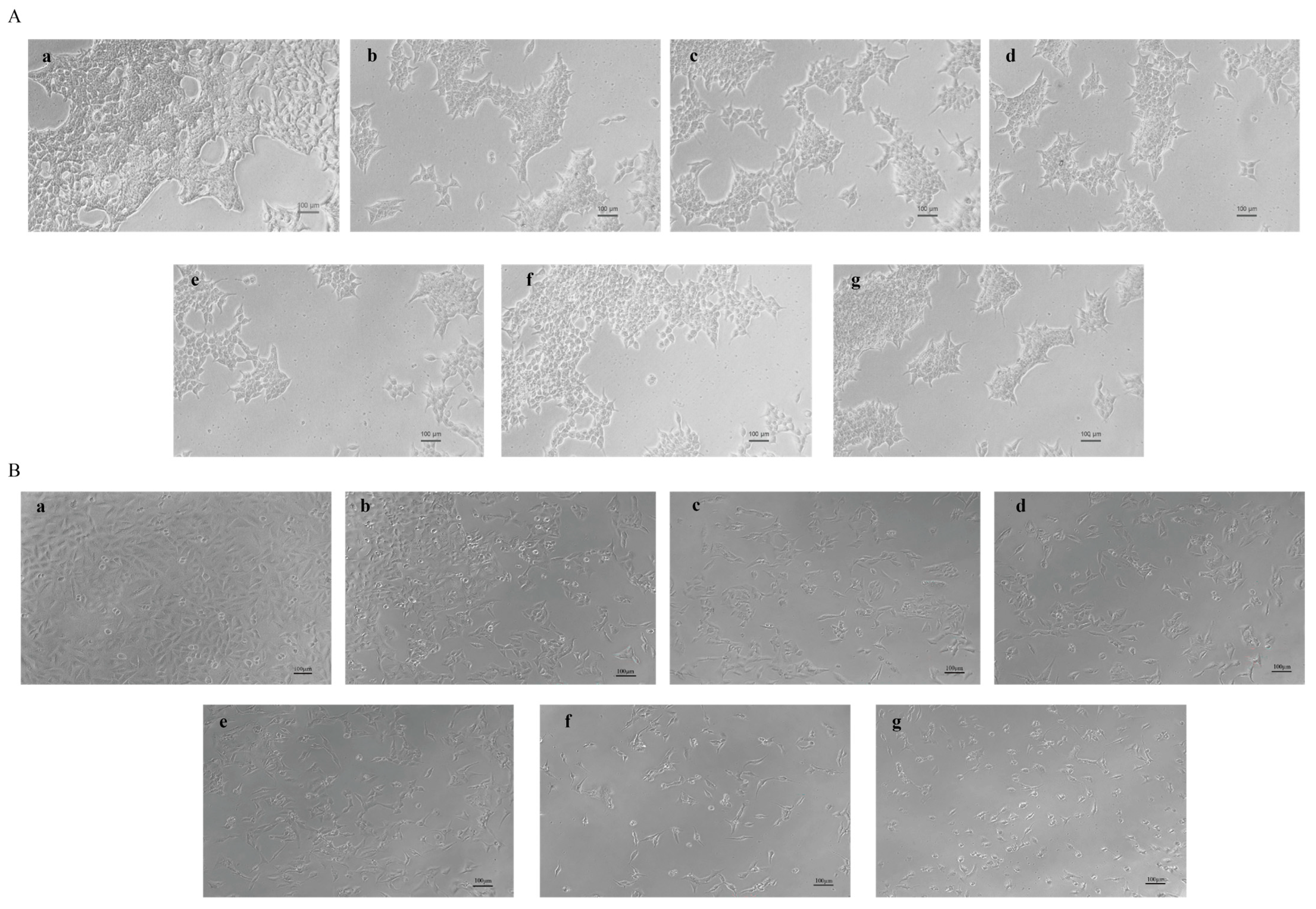 Biomolecules 16 01551 g006 Biomolecules 16 01551 g006