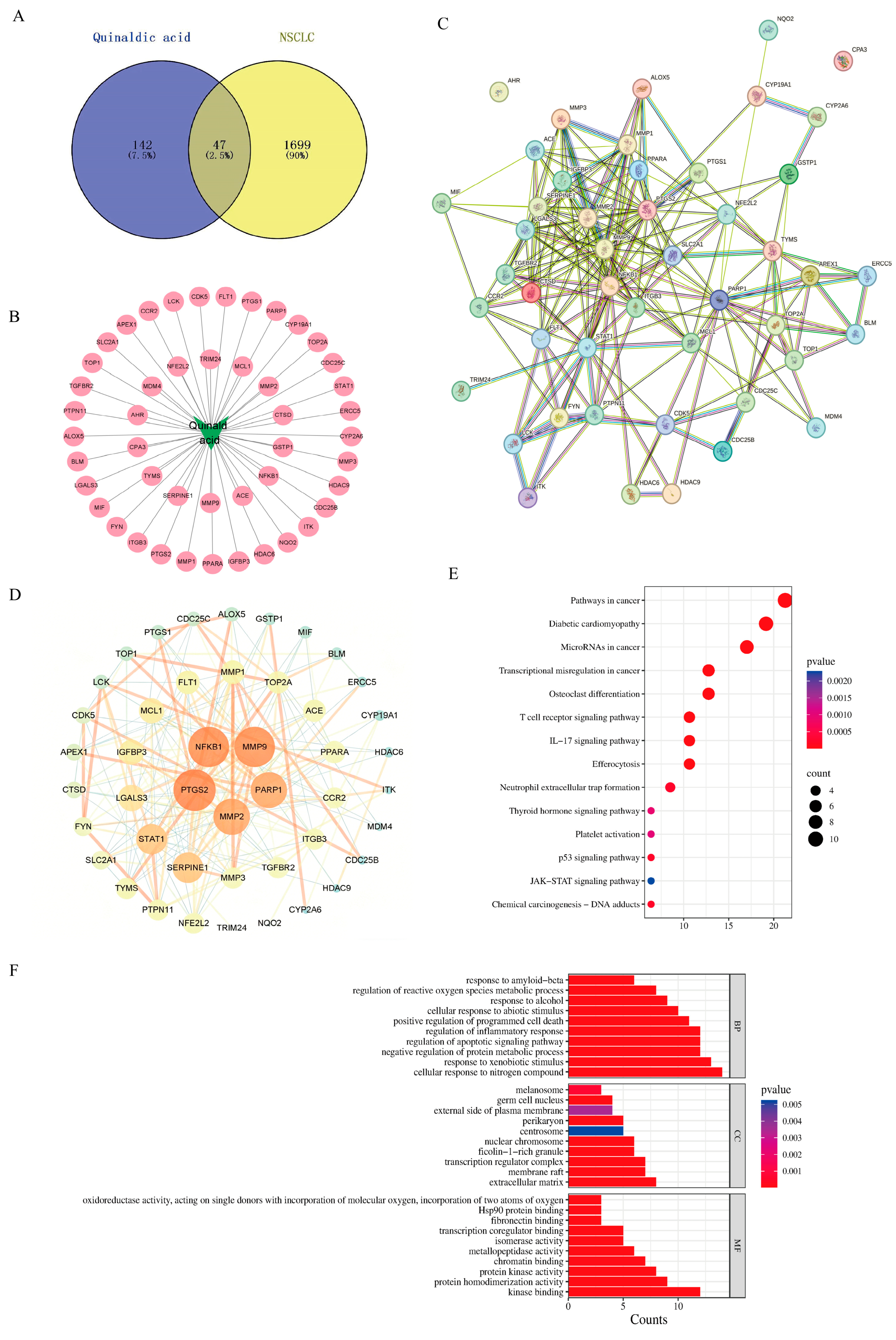 Biomolecules 16 01551 g007 Biomolecules 16 01551 g007