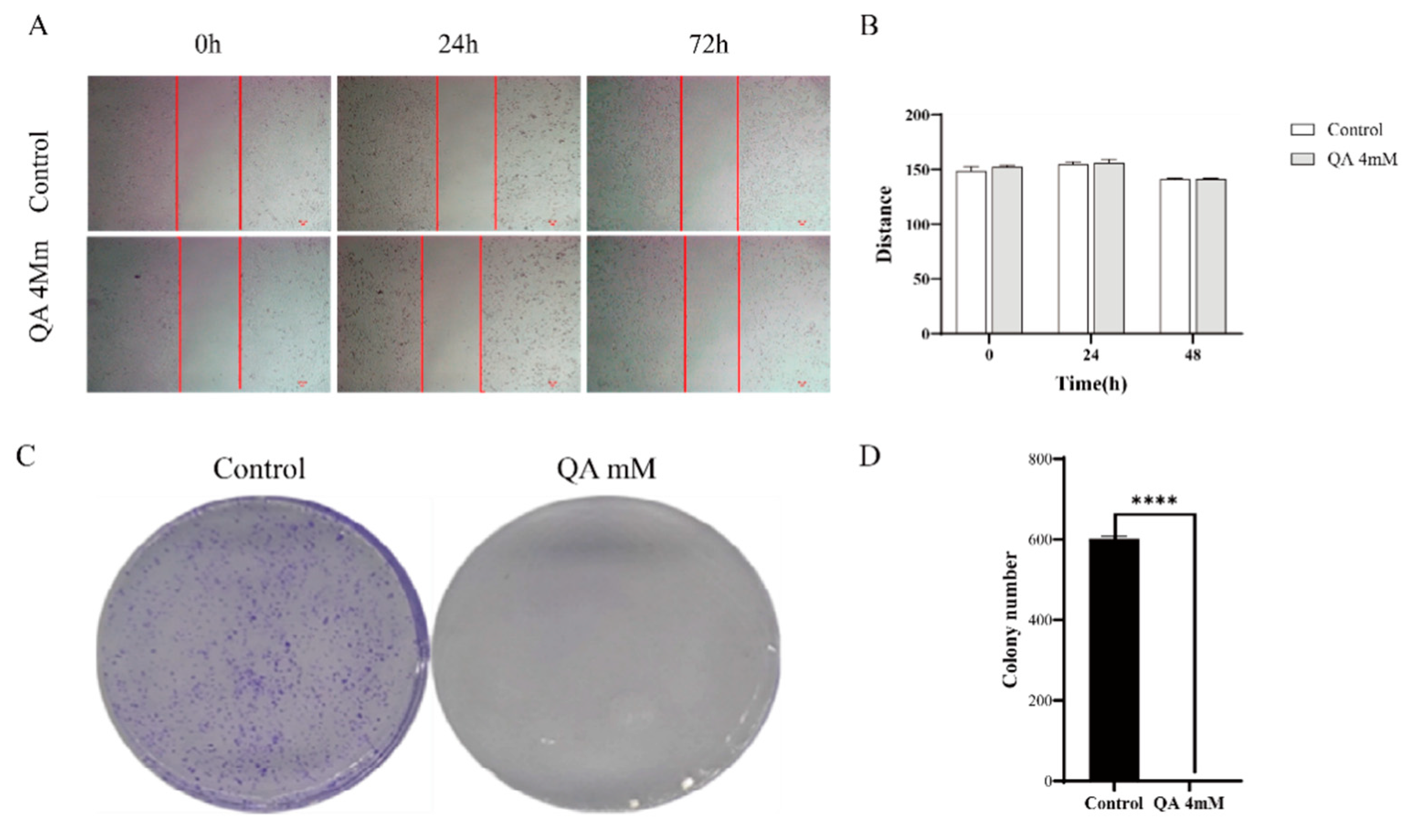 Biomolecules 16 01551 g008 Biomolecules 16 01551 g008