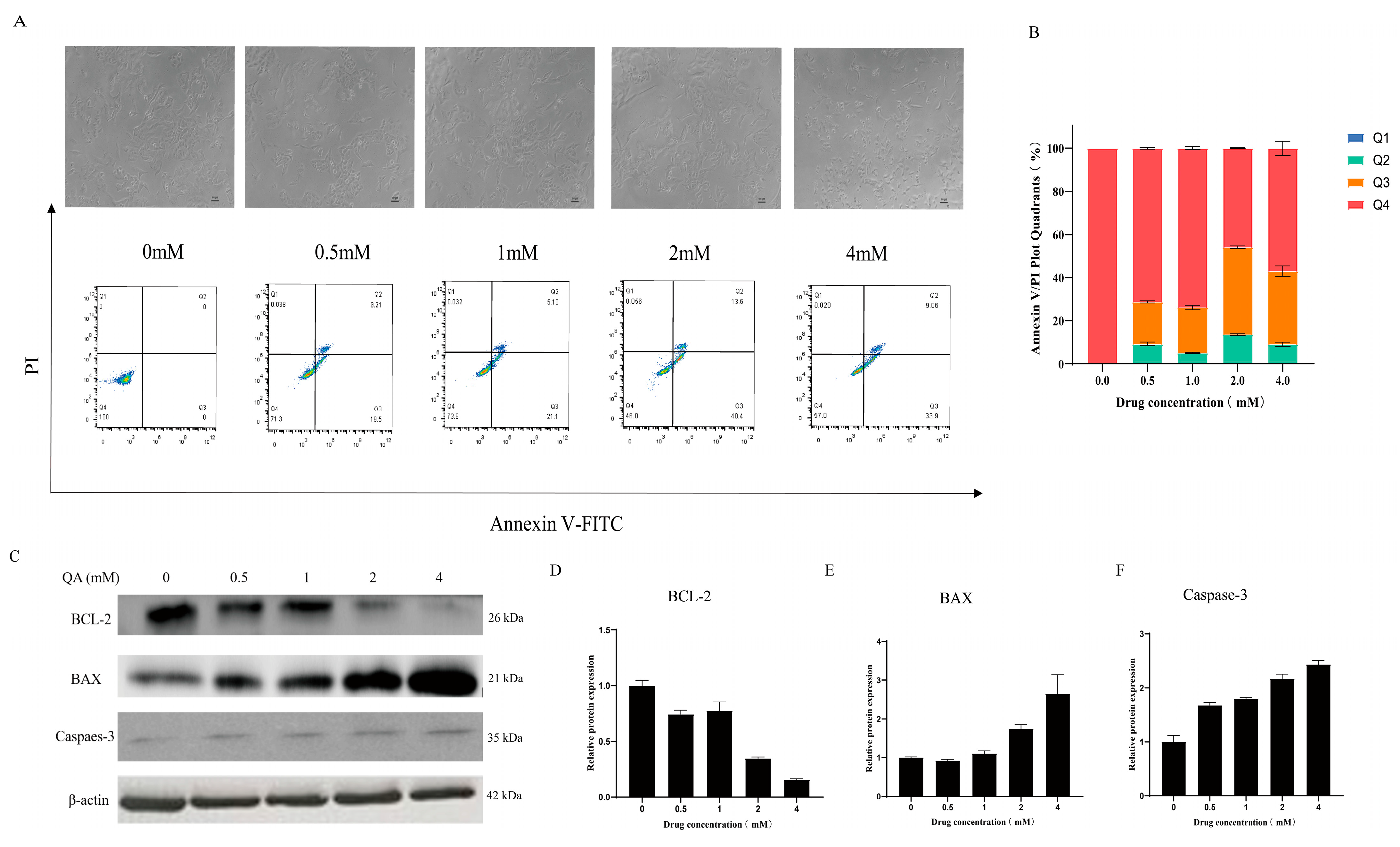Biomolecules 16 01551 g010 Biomolecules 16 01551 g010