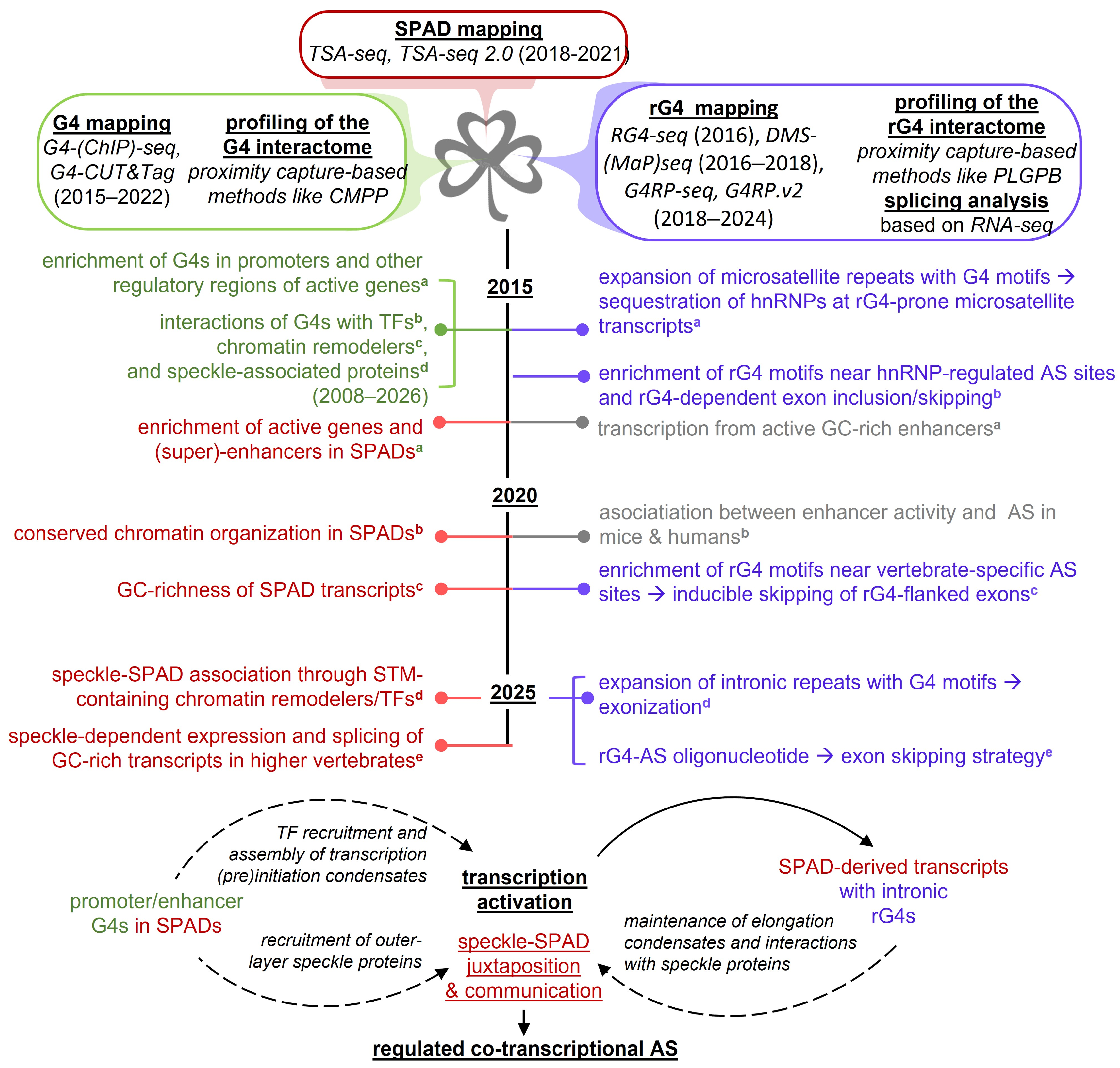 Biomolecules 16 01554 g001 Biomolecules 16 01554 g001