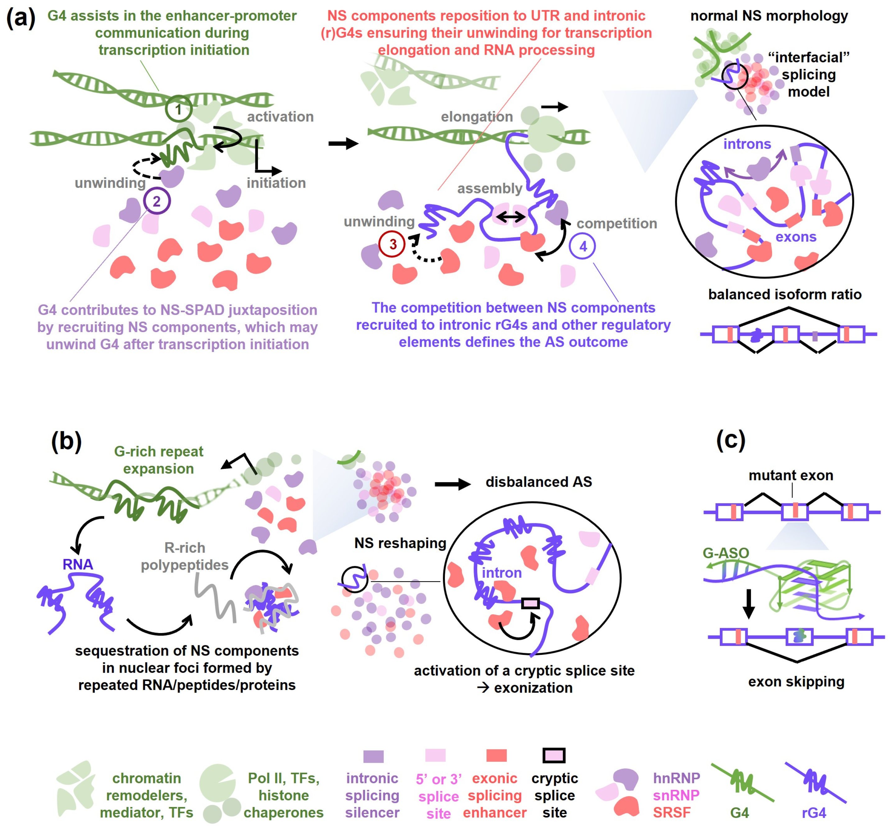 Biomolecules 16 01554 g003 Biomolecules 16 01554 g003
