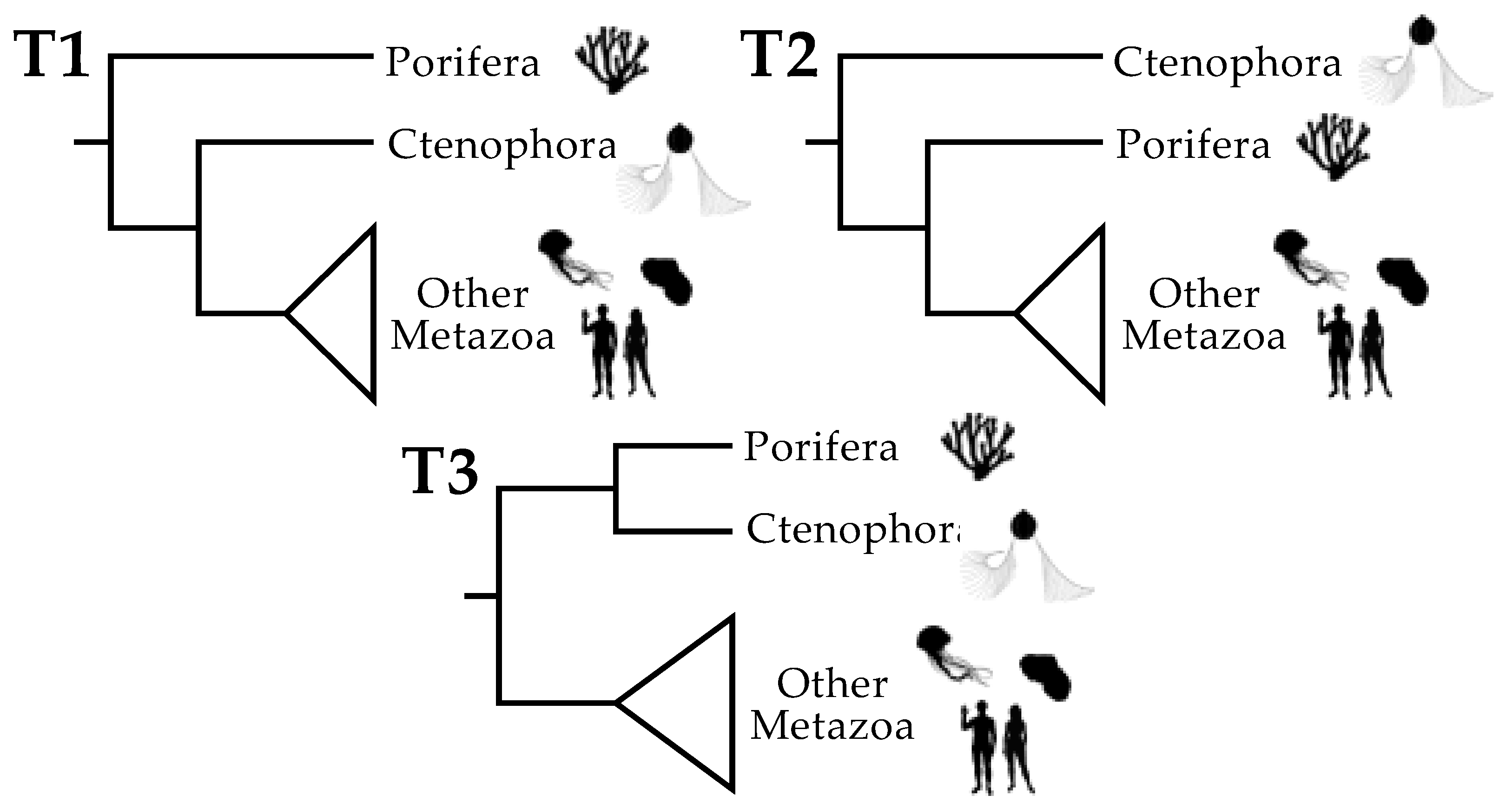 Biophysica 01 00008 g001
