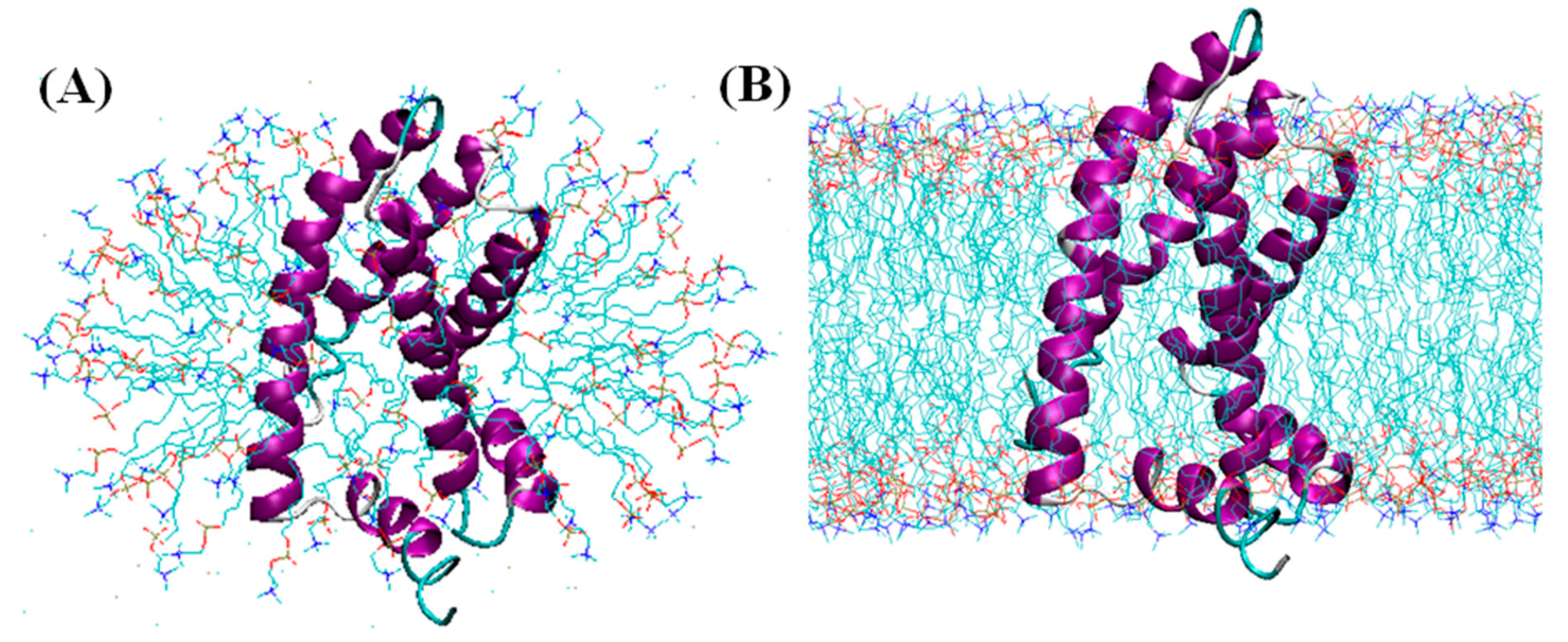 Biophysica 01 00009 g001