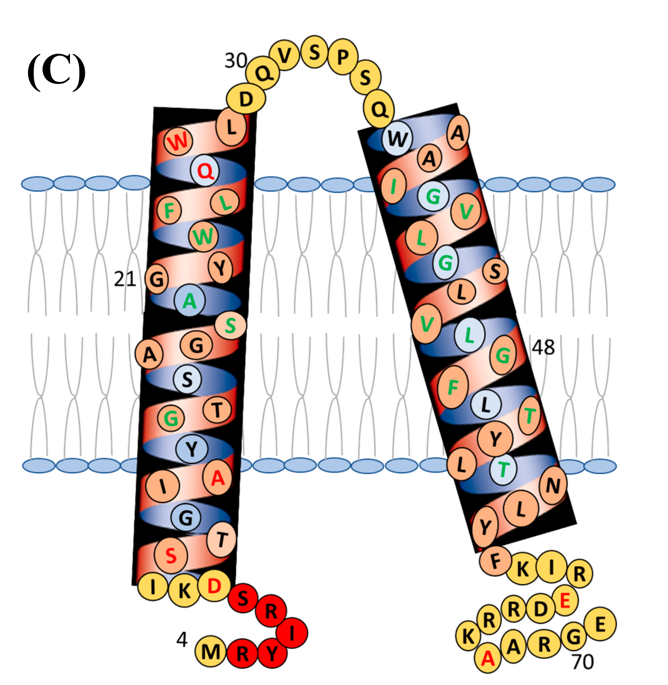 Biophysica 01 00009 g003b
