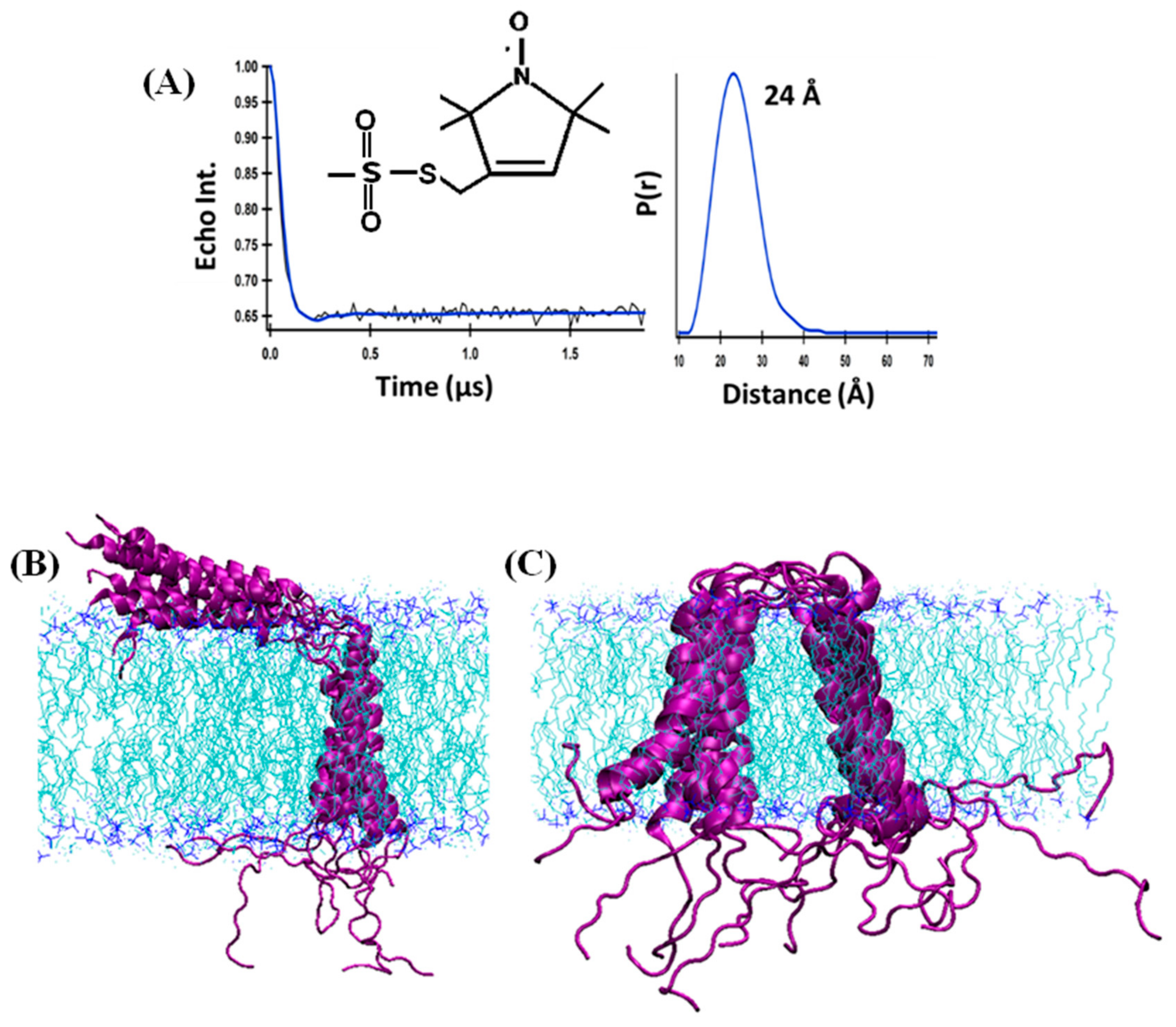 Biophysica 01 00009 g004
