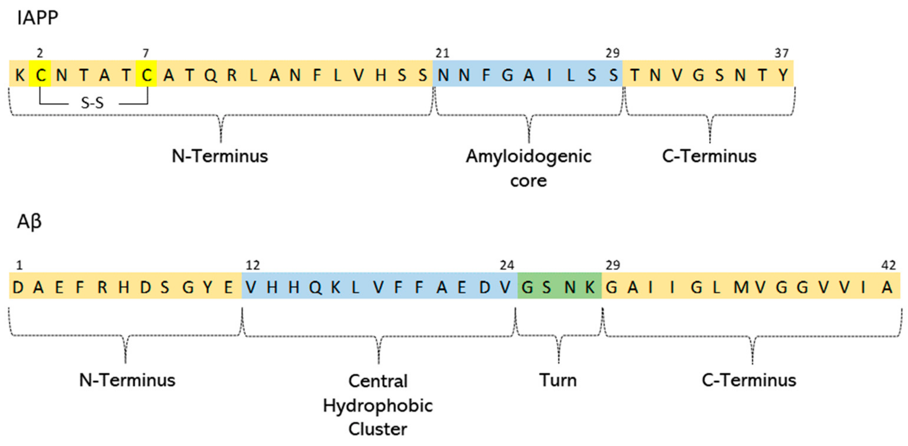 Biophysica 01 00011 g001
