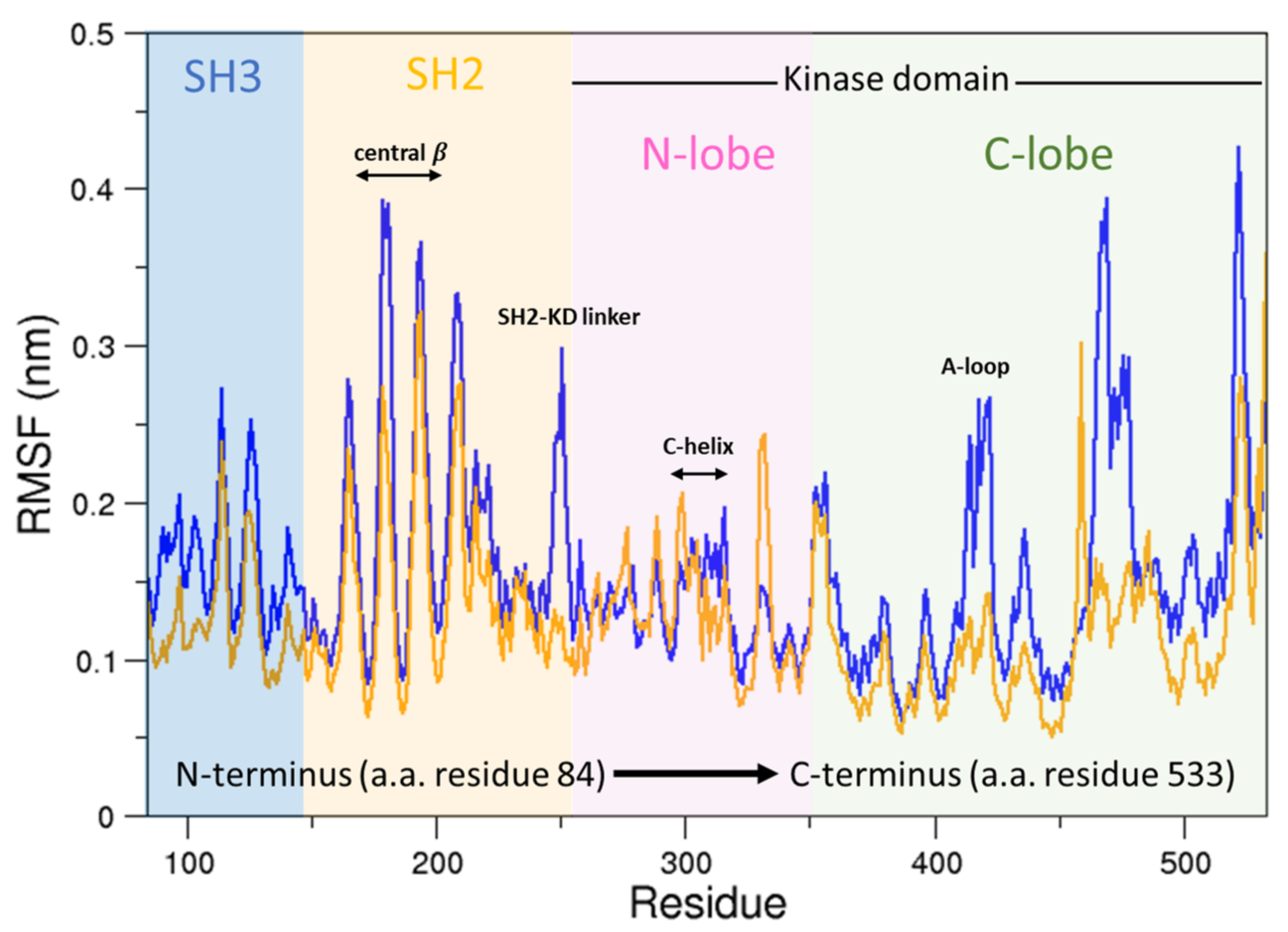 Biophysica 01 00018 g010 Biophysica 01 00018 g010