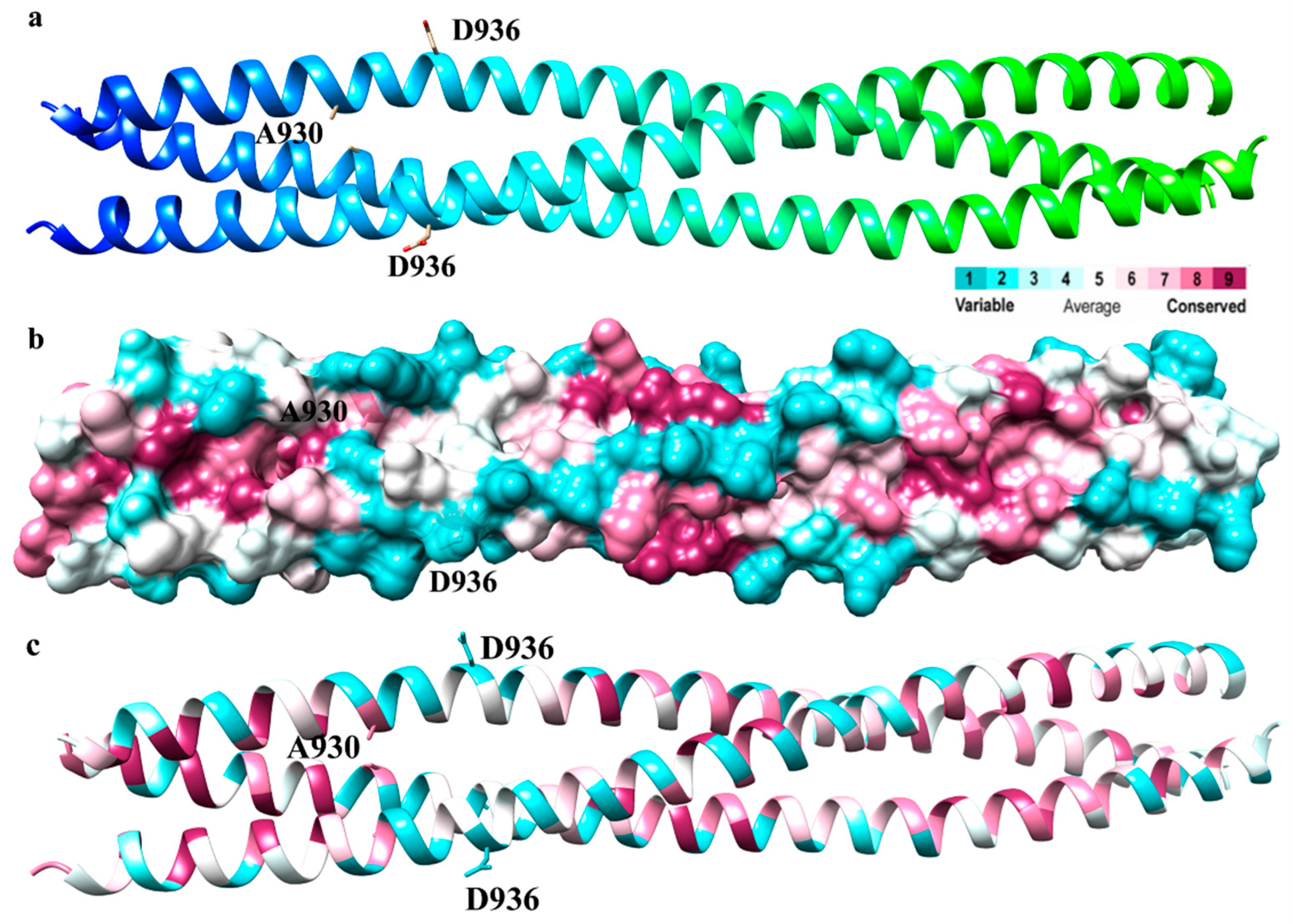 Biophysica 01 00023 g001