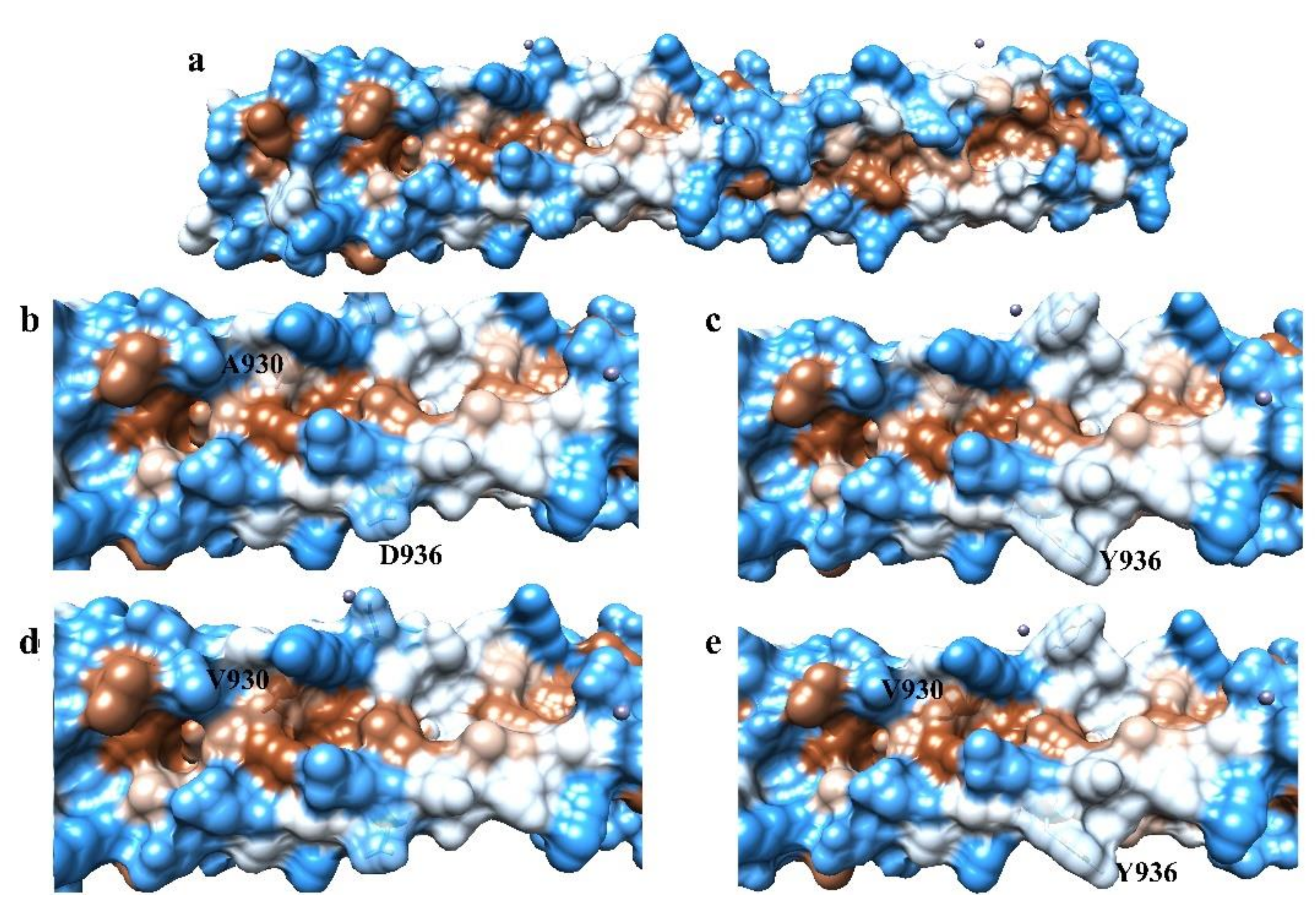 Biophysica 01 00023 g003