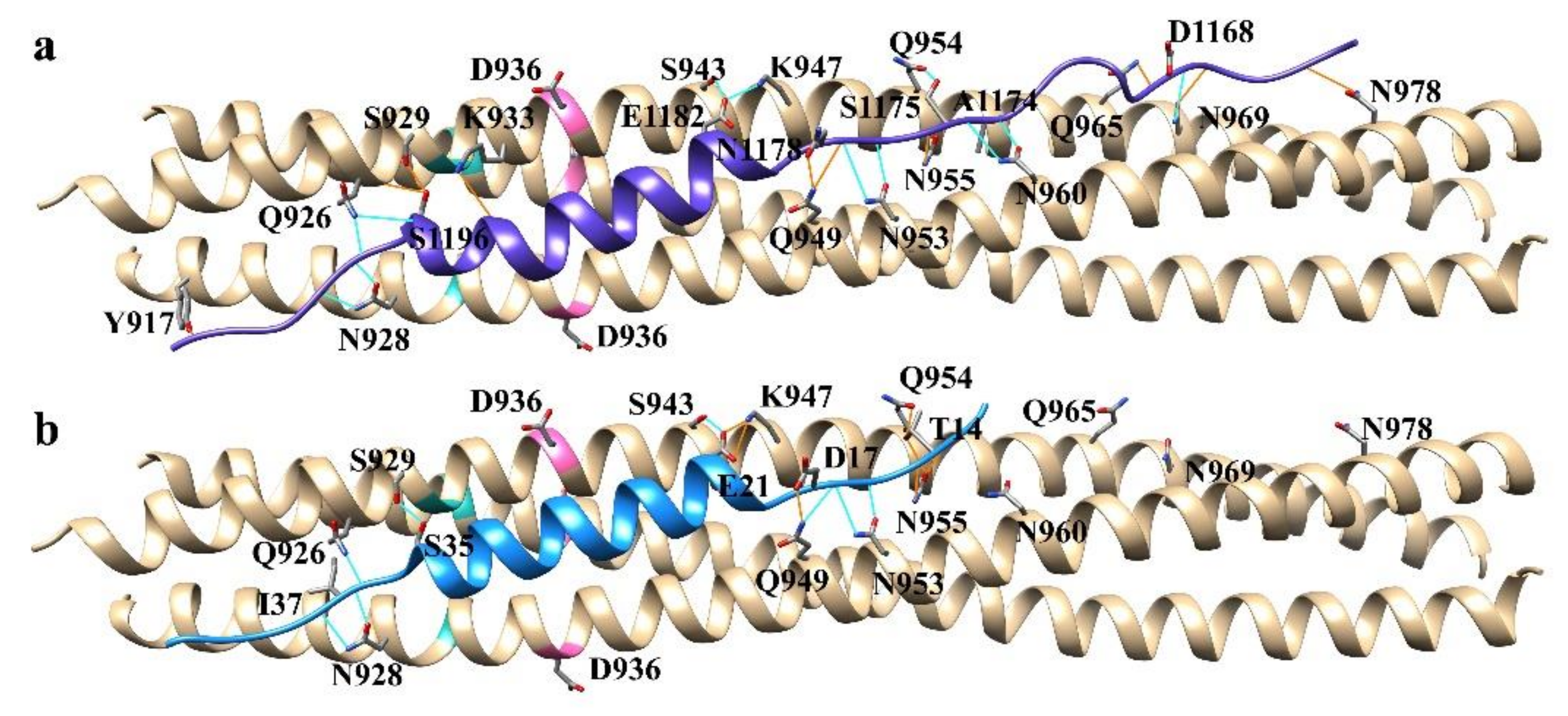 Biophysica 01 00023 g004