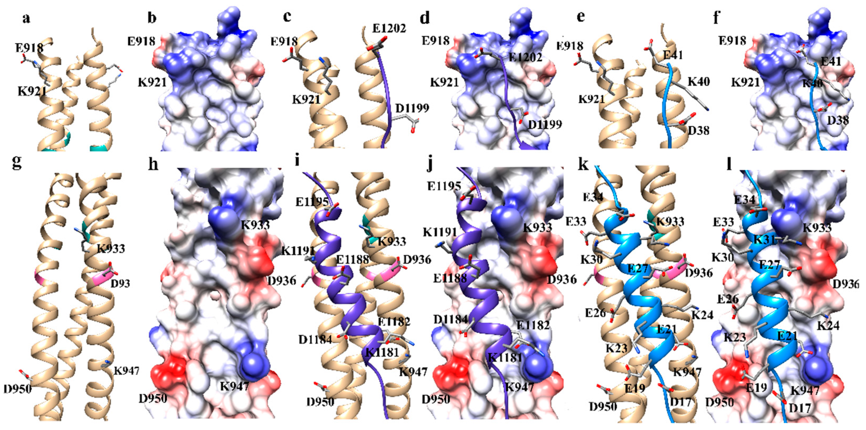 Biophysica 01 00023 g006