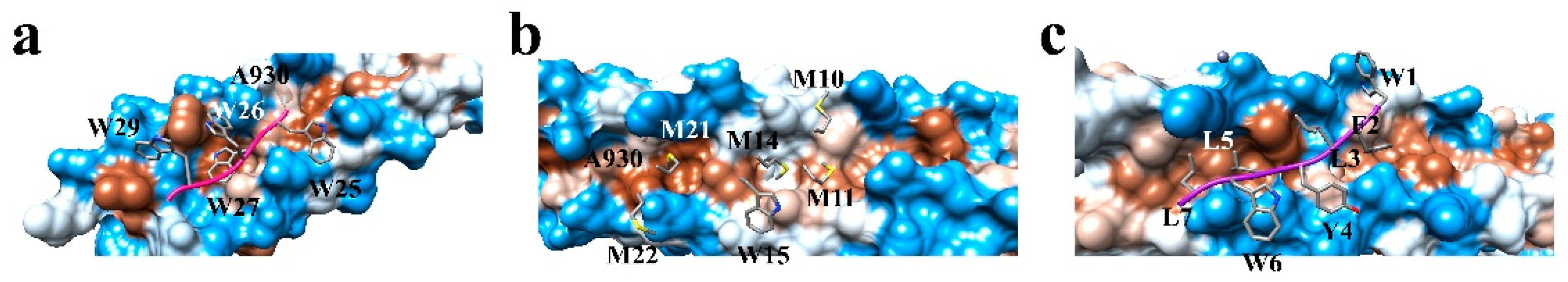Biophysica 01 00023 g008