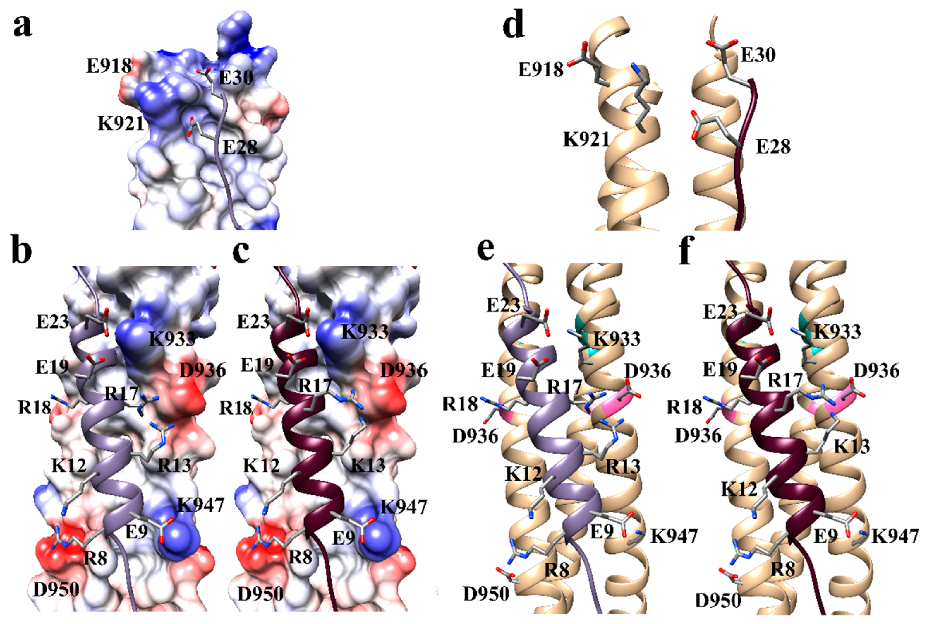 Biophysica 01 00023 g009