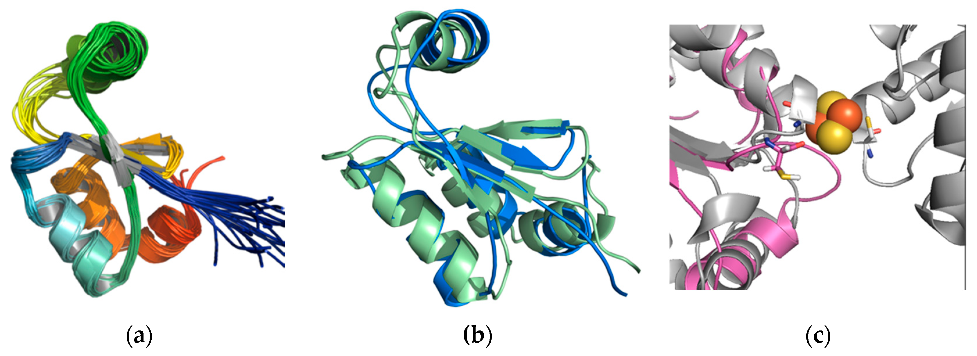 Biophysica 01 00027 g003