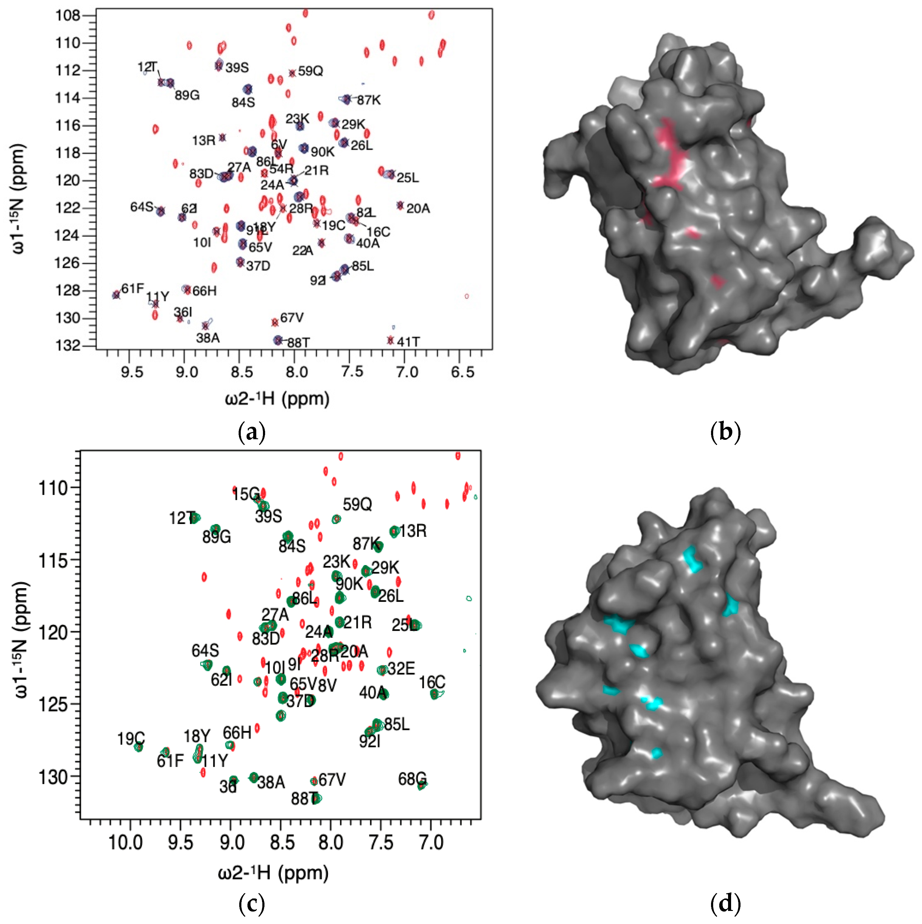 Biophysica 01 00027 g007