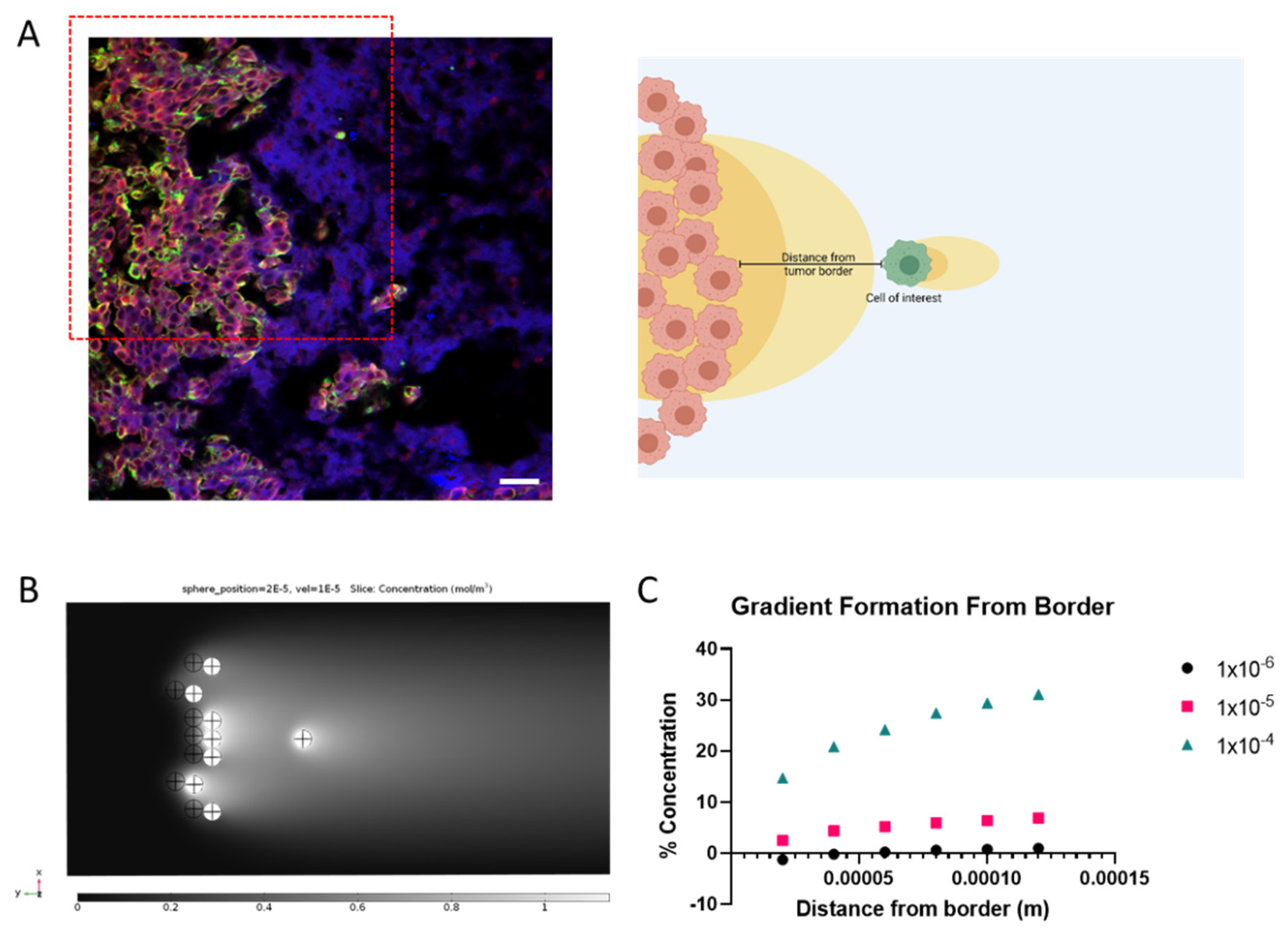 Biophysica 02 00003 g005
