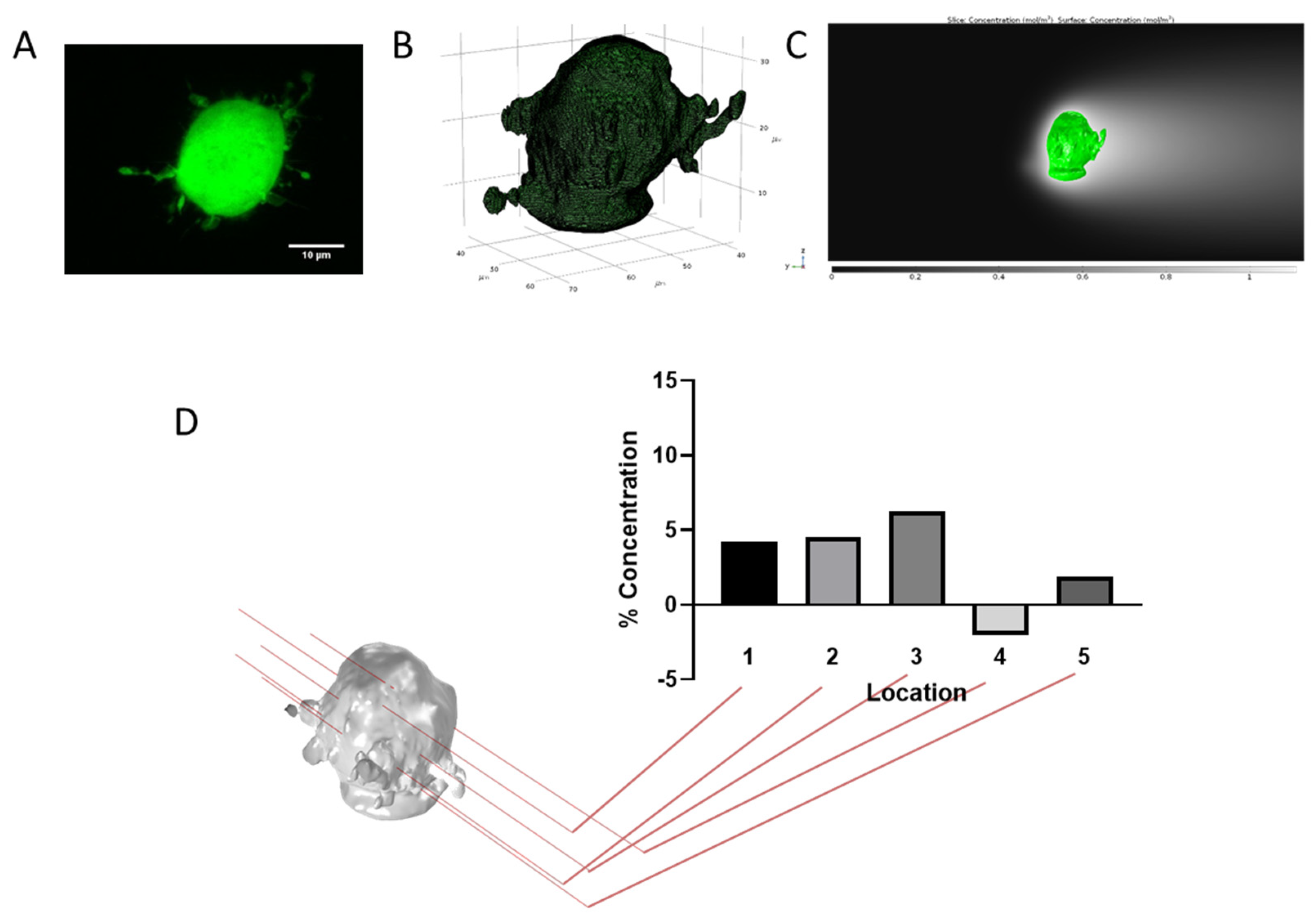 Biophysica 02 00003 g006