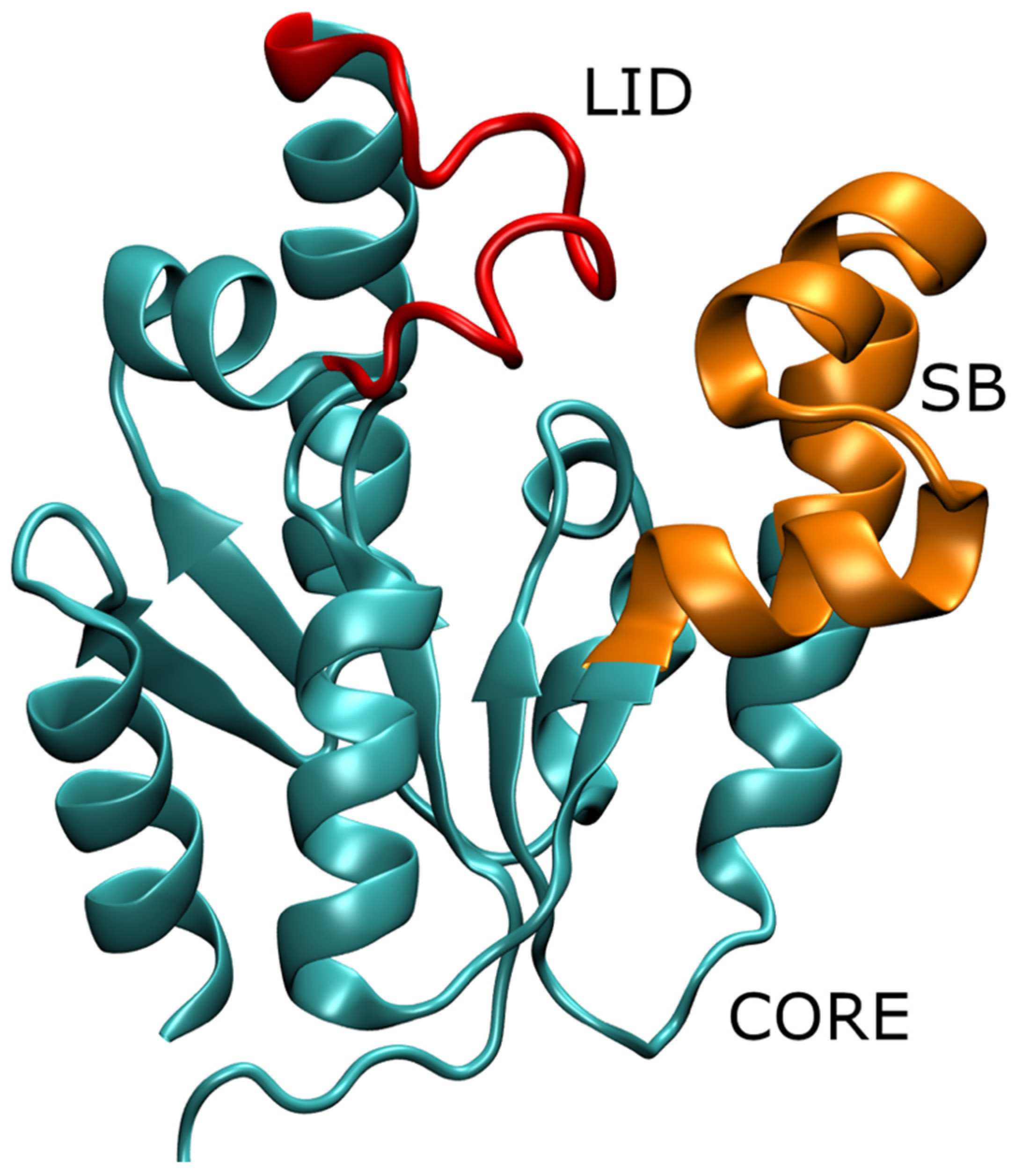 Biophysica 02 00020 g001