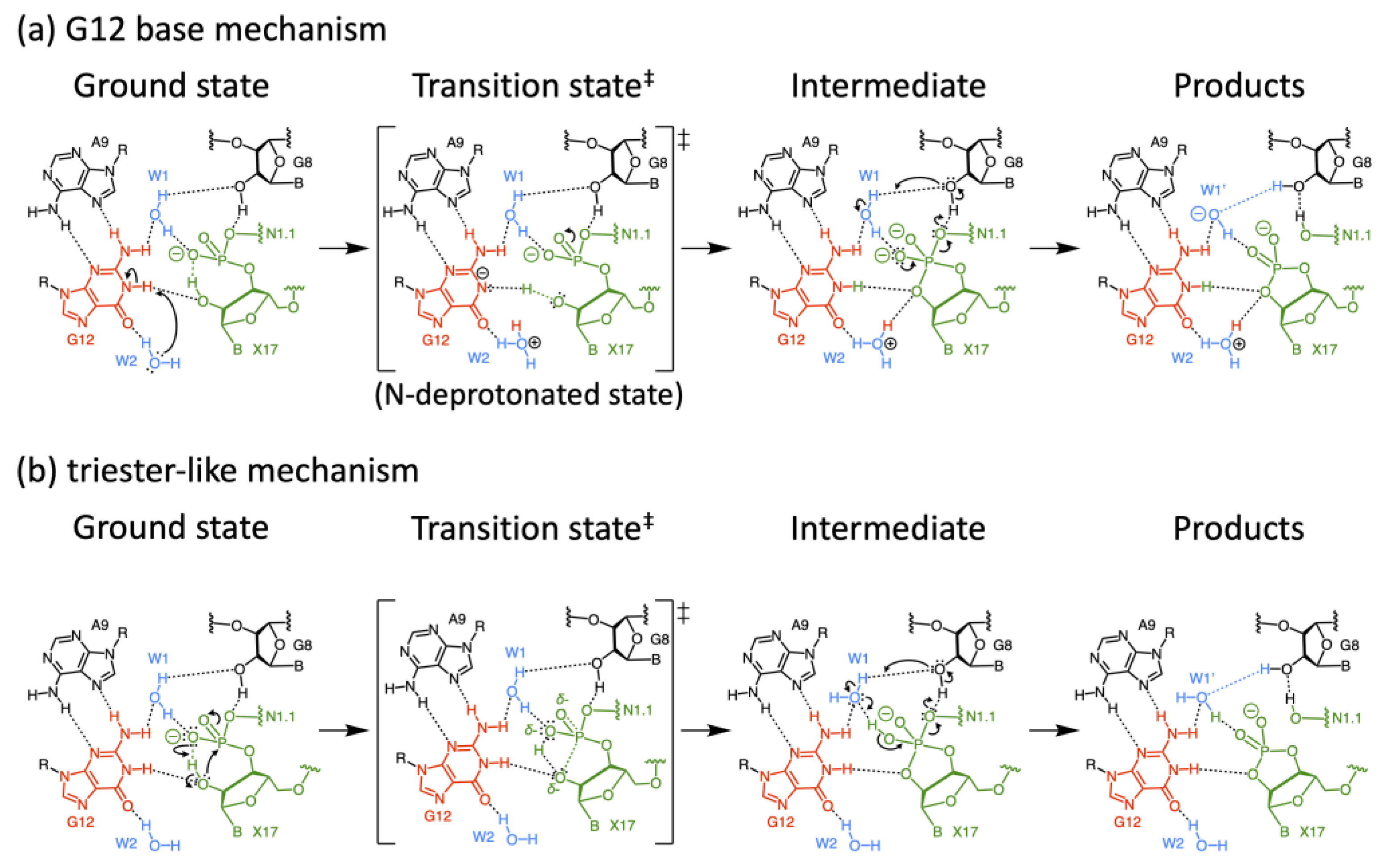 Biophysica 02 00022 g008