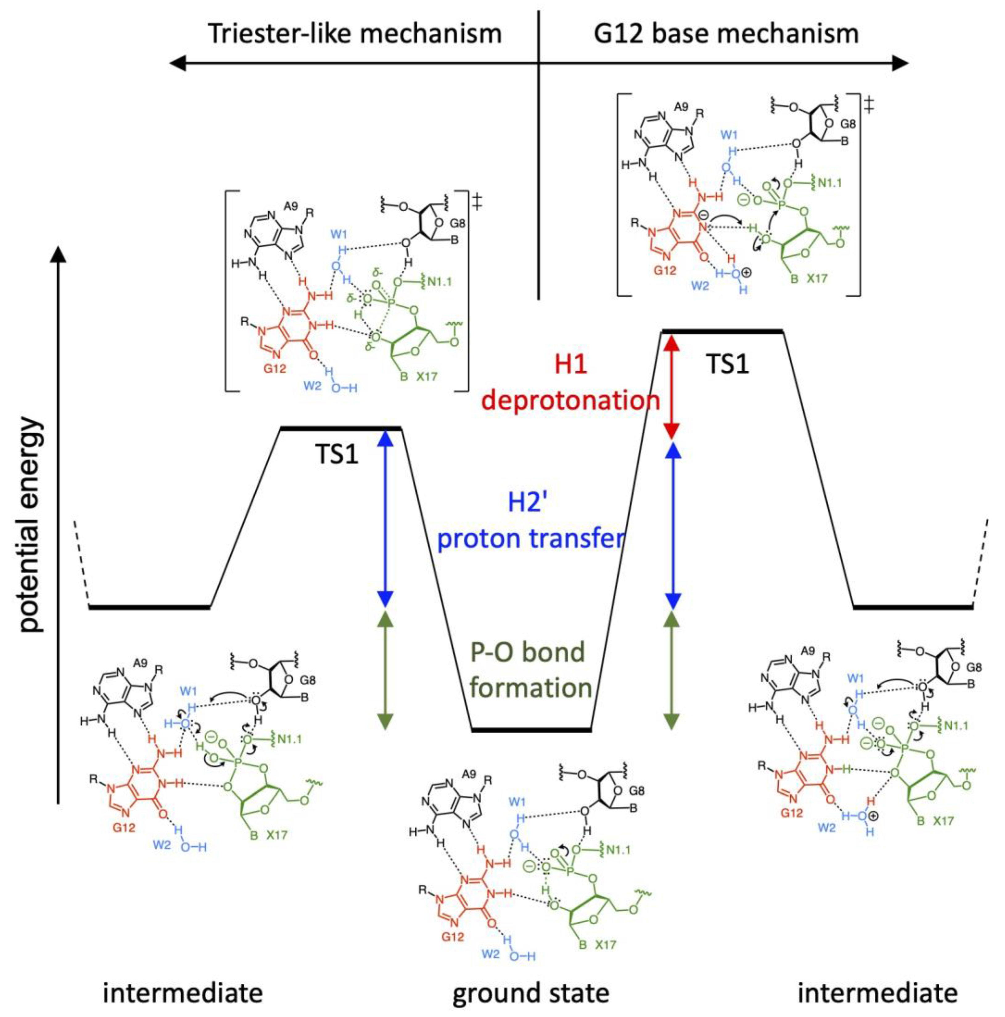 Biophysica 02 00022 g009
