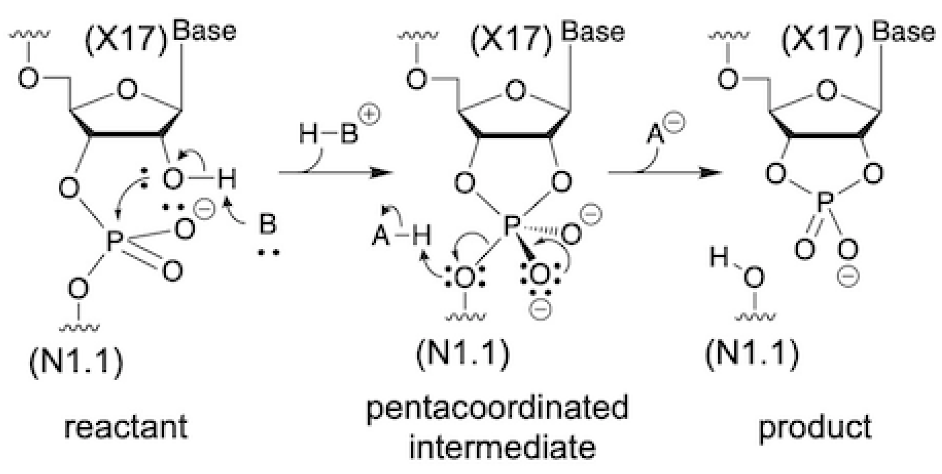 Biophysica 02 00022 sch001