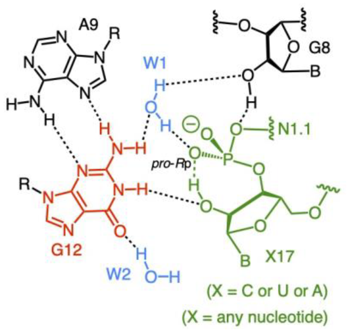 Biophysica 02 00022 sch002