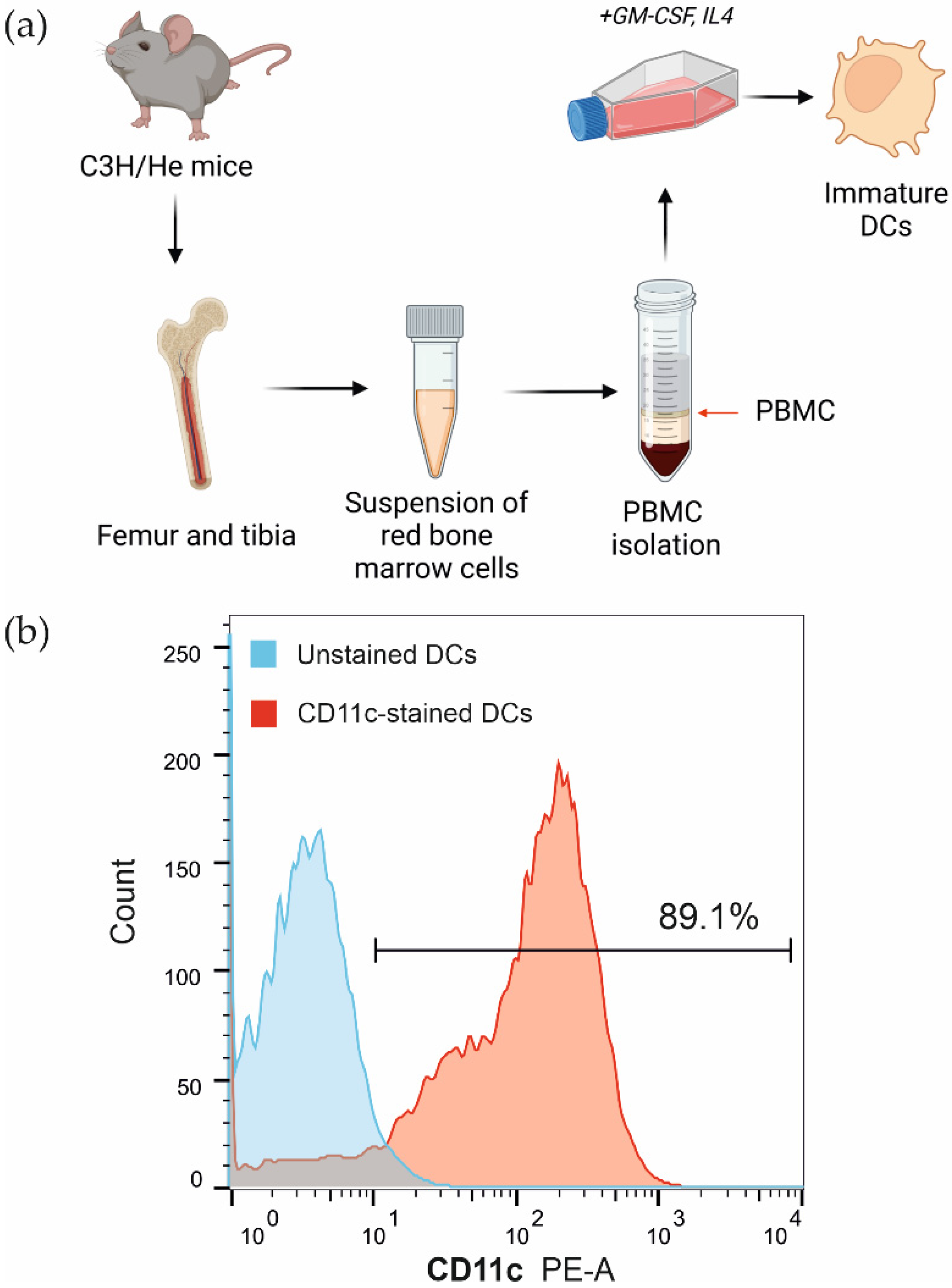 Biophysica 02 00025 g002
