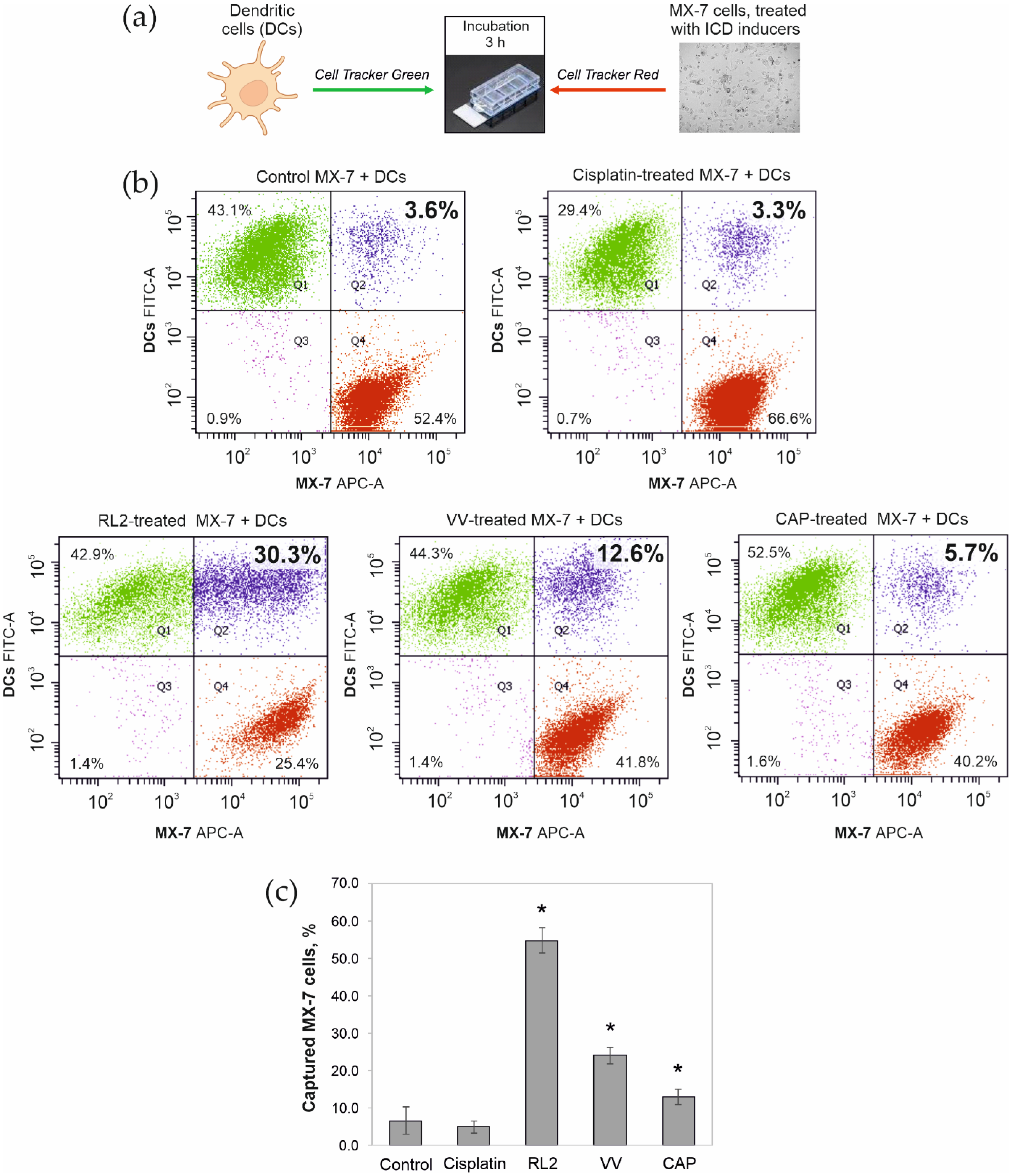 Biophysica 02 00025 g003