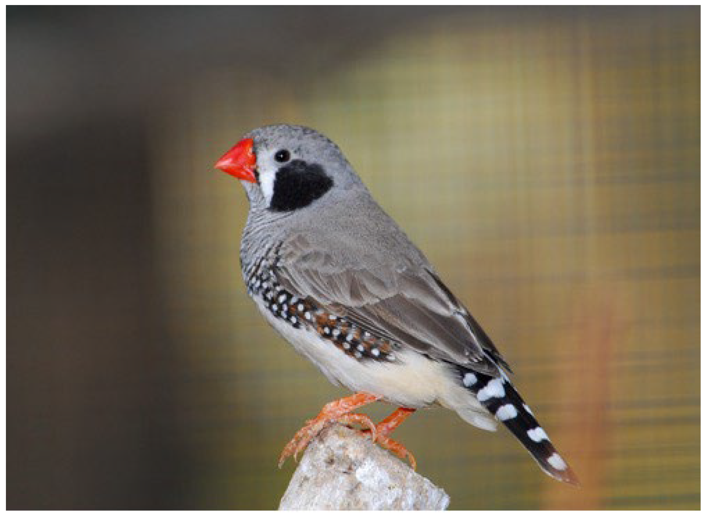 Biophysica 02 00027 g002