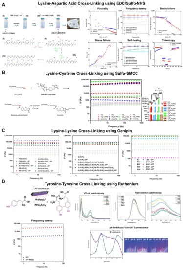 Biophysica 02 00030 g003
