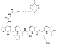 Biophysica 02 00030 i006 Biophysica 02 00030 i006