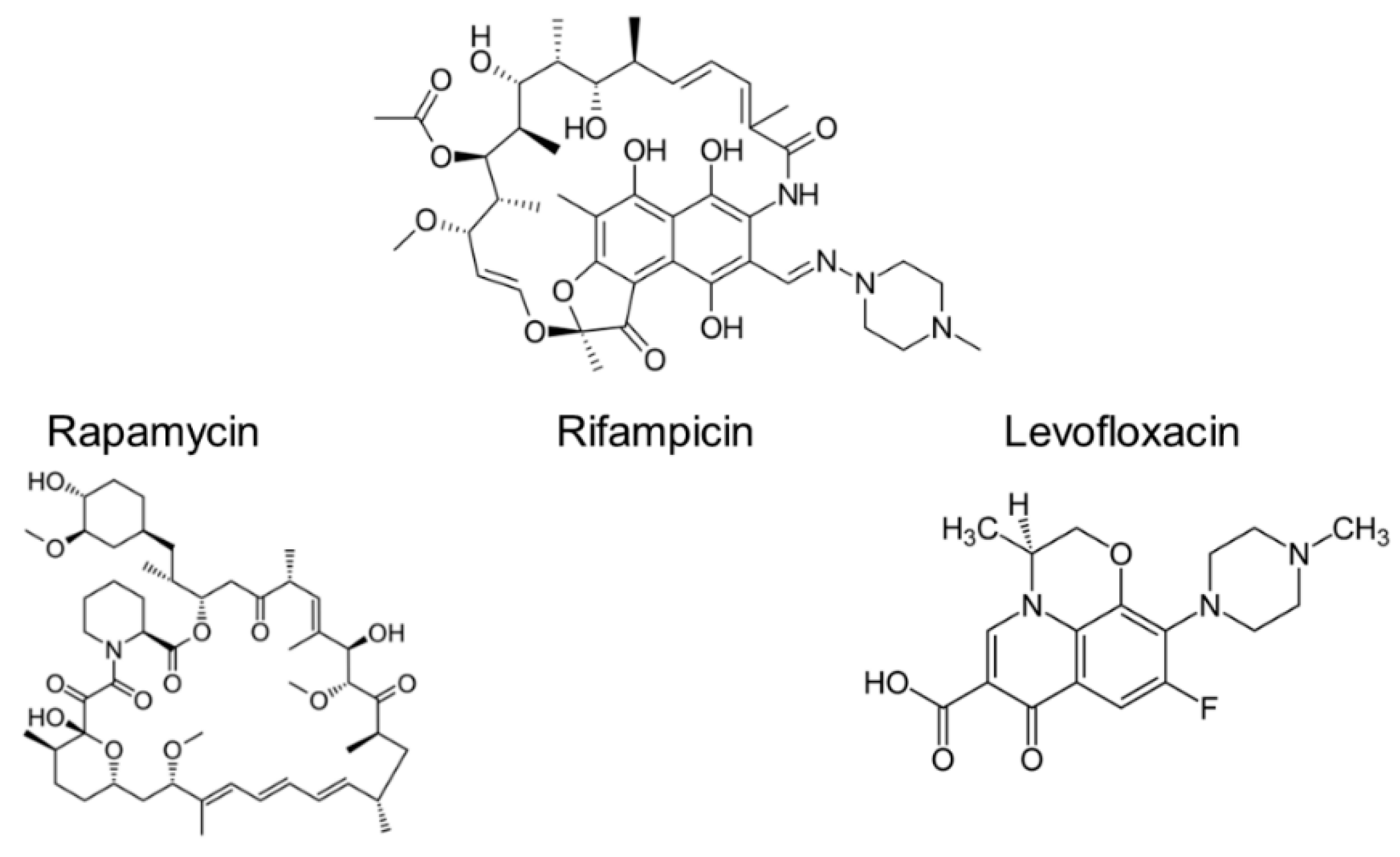 Biophysica 02 00032 g001