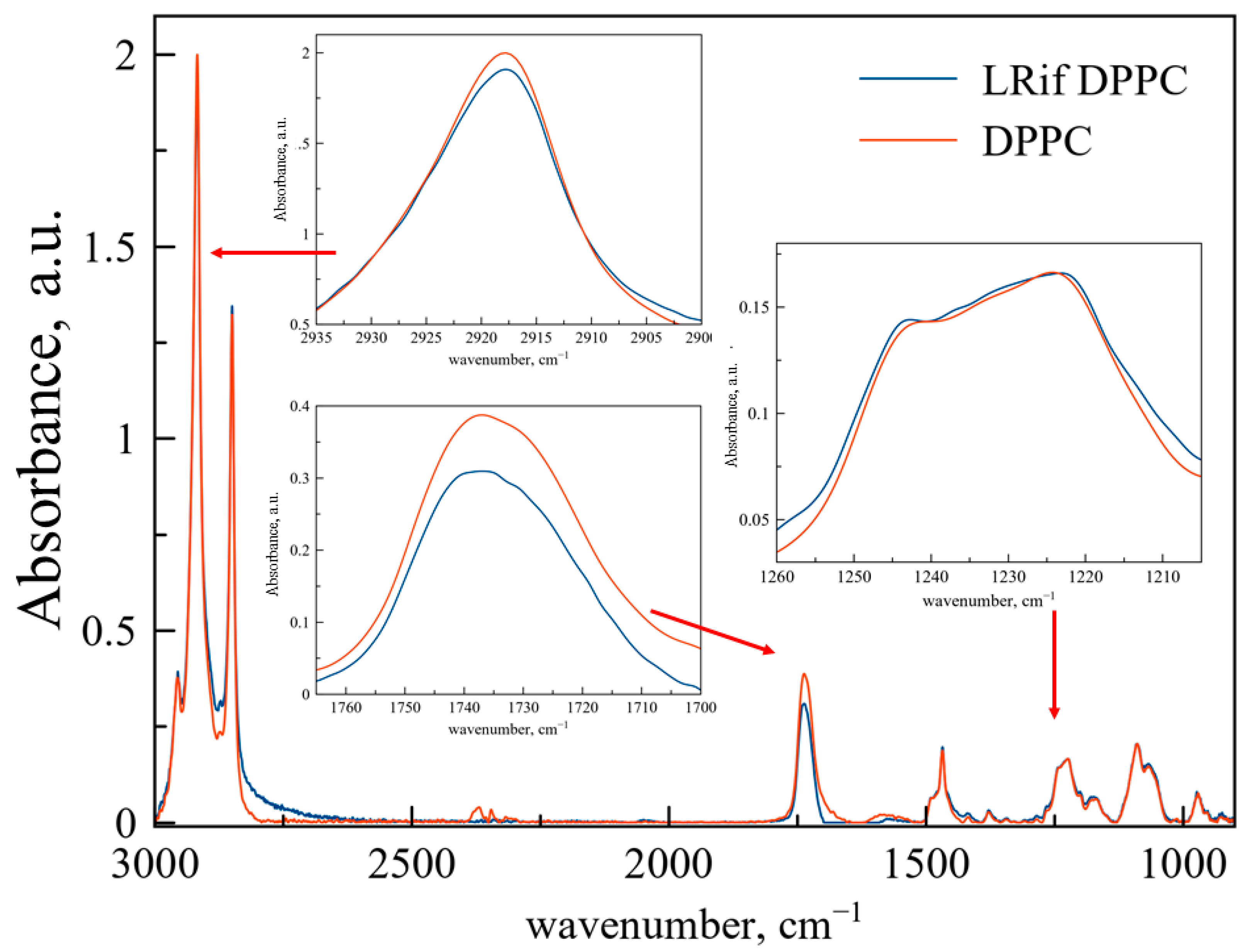 Biophysica 02 00032 g002