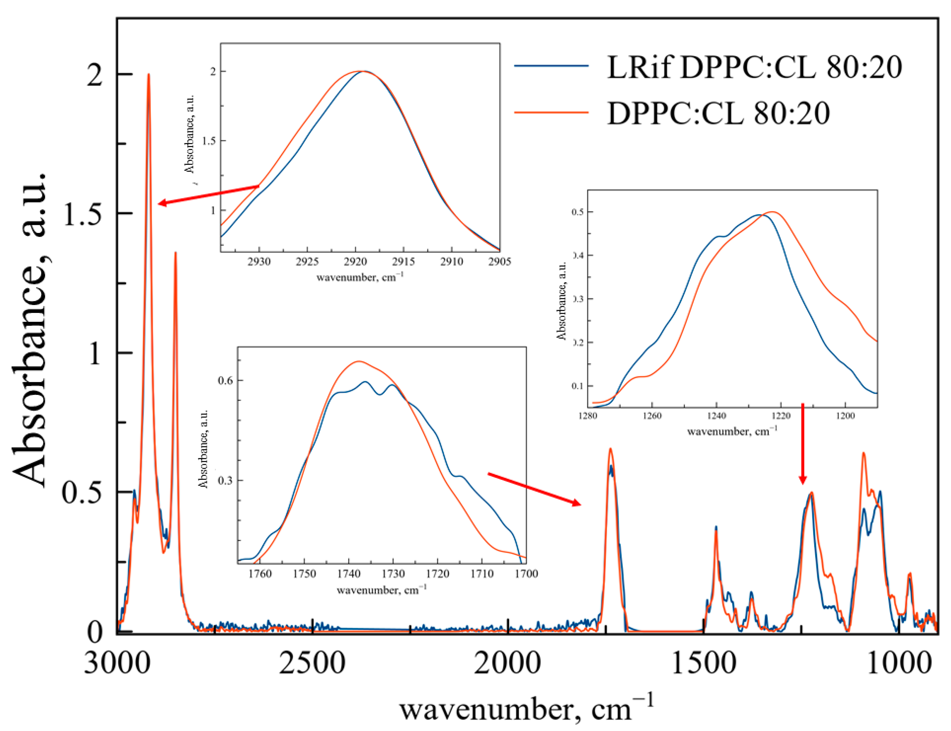Biophysica 02 00032 g003