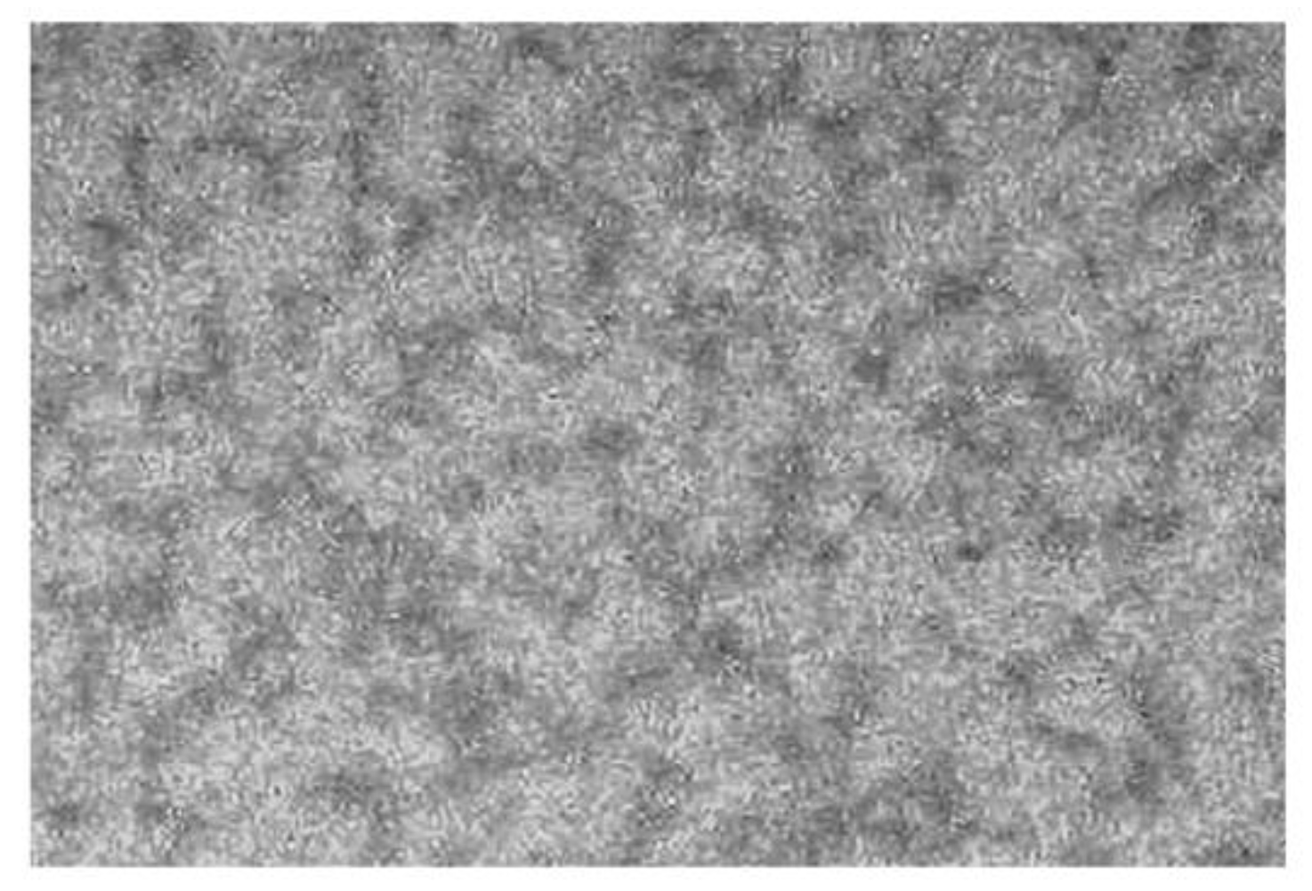 Biophysica 02 00033 g001