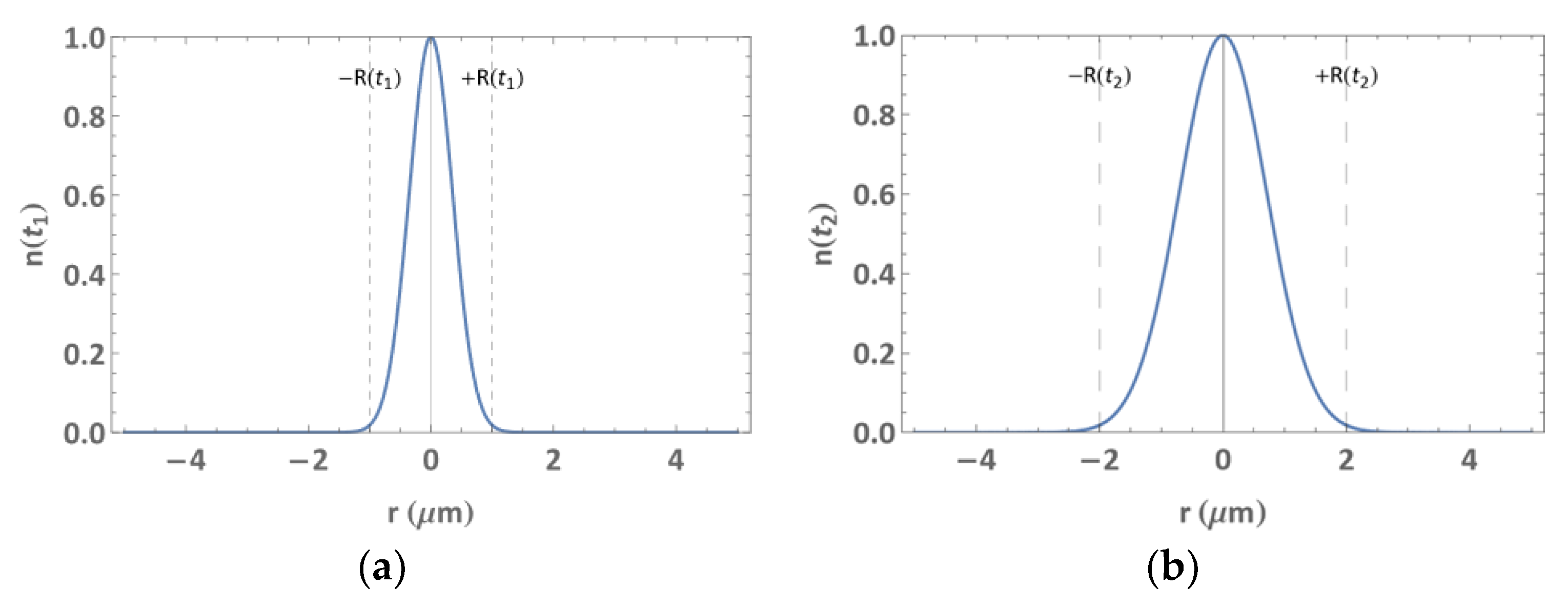 Biophysica 02 00038 g003