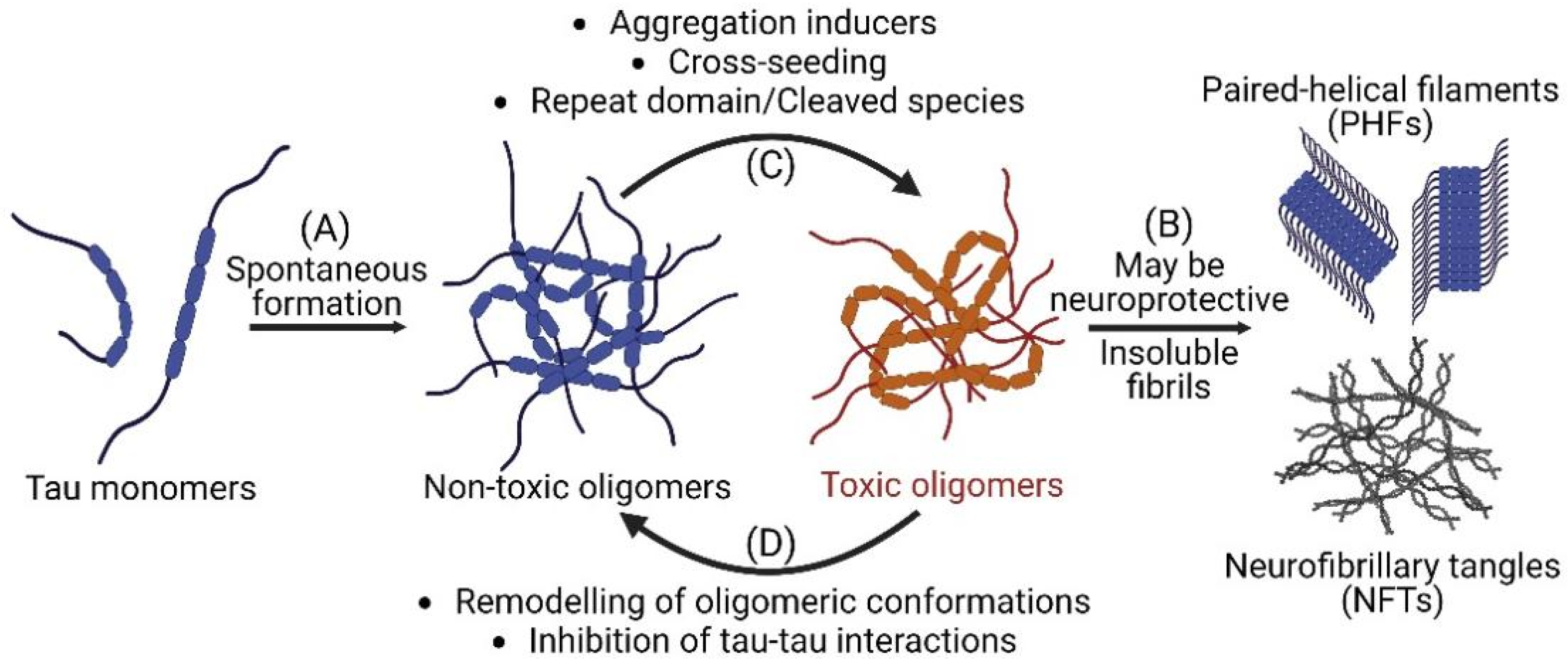 Biophysica 02 00039 g001 Biophysica 02 00039 g001