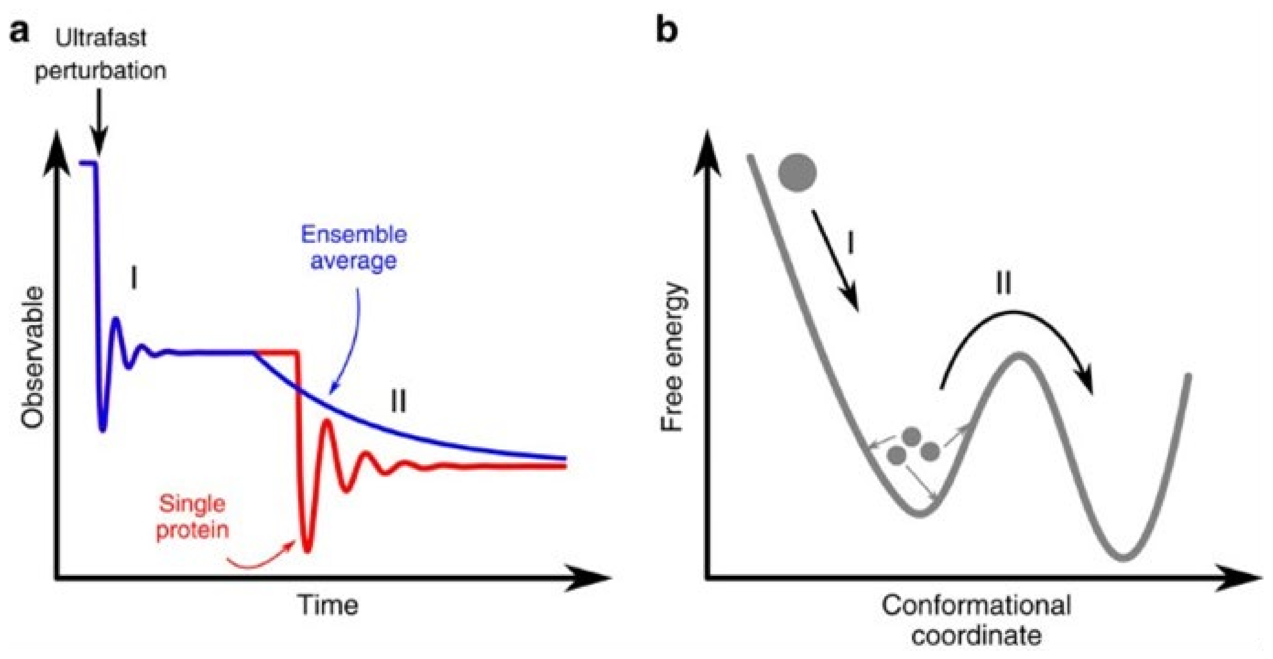 Biophysica 02 00040 g002