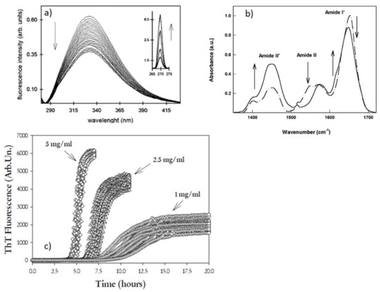 Biophysica 02 00040 g004