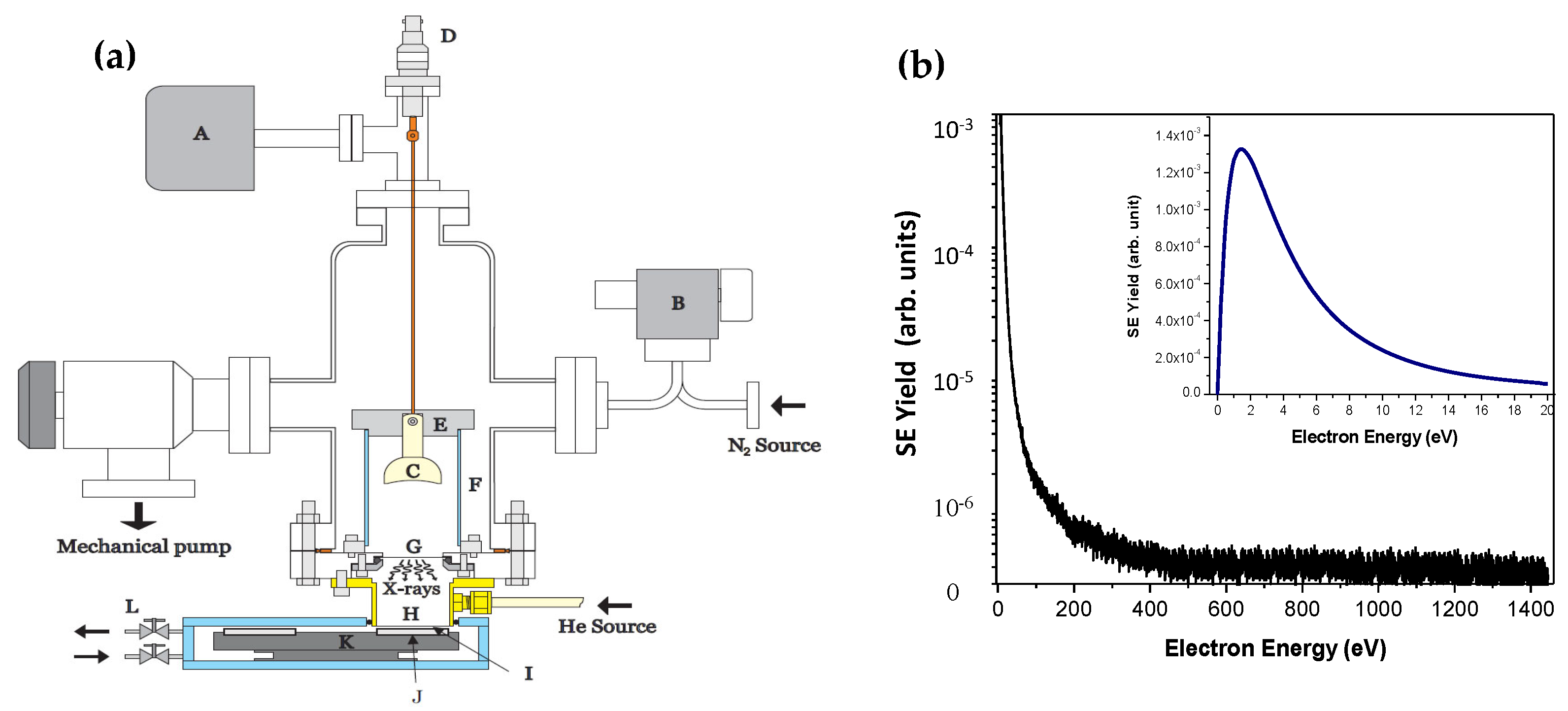 Biophysica 02 00041 g004