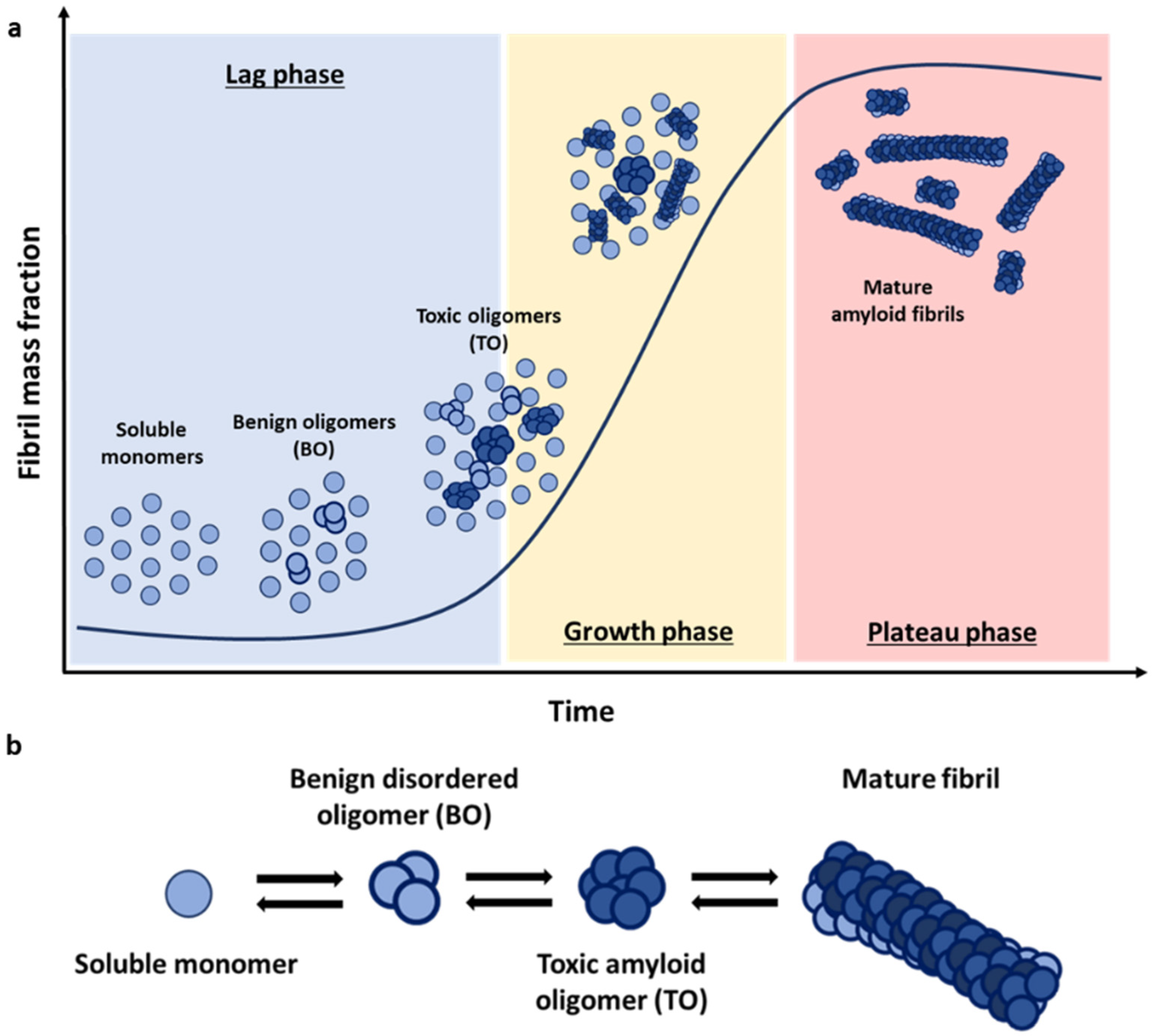 Biophysica 02 00043 g001