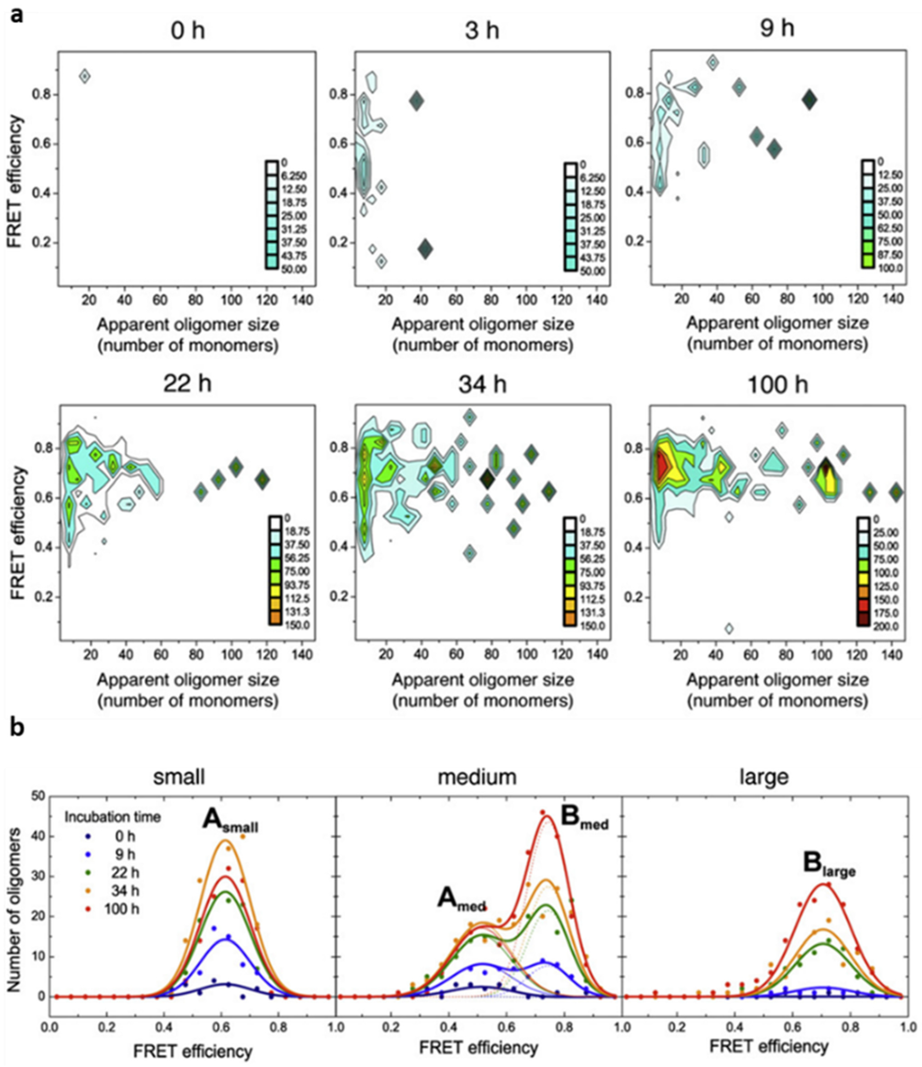 Biophysica 02 00043 g003