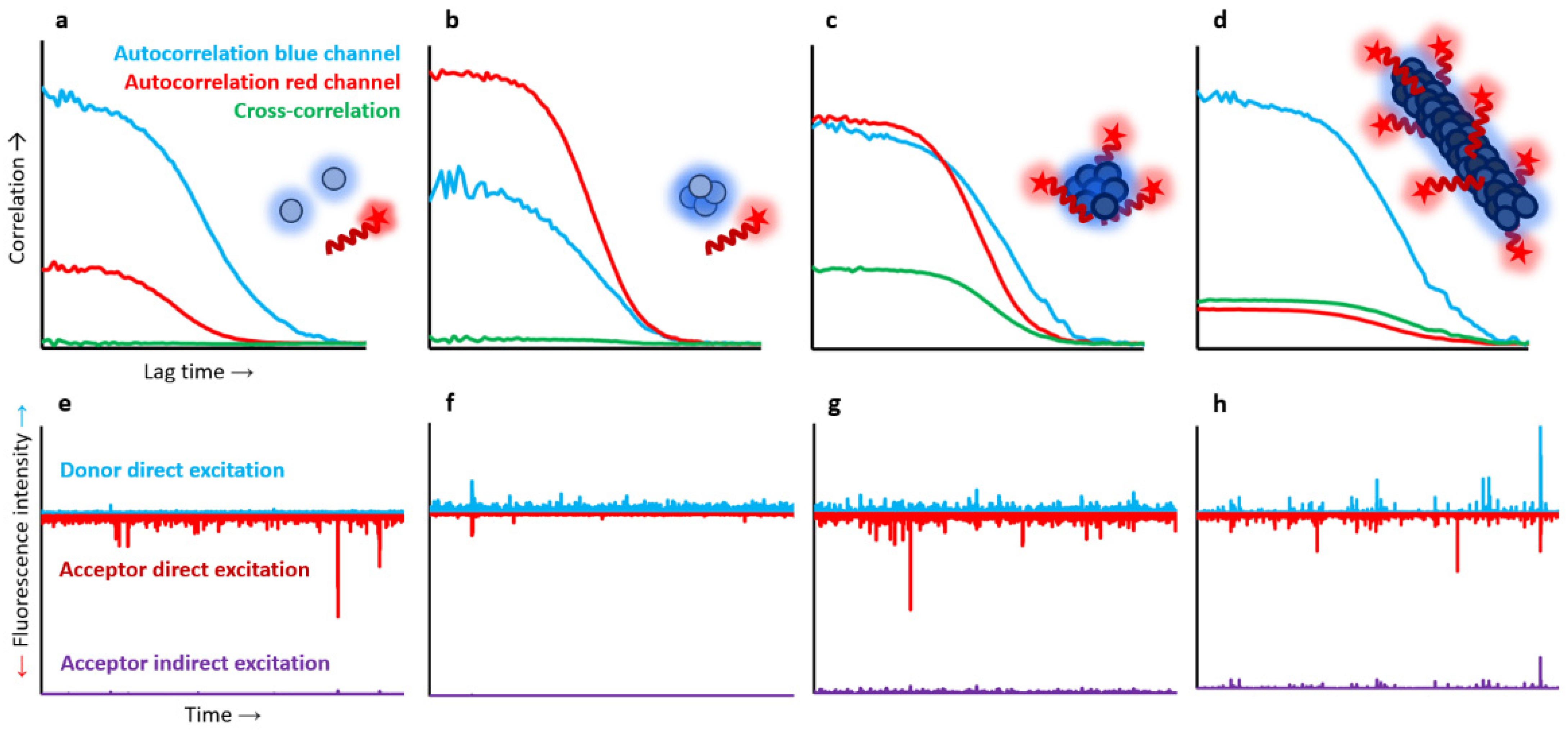 Biophysica 02 00043 g004