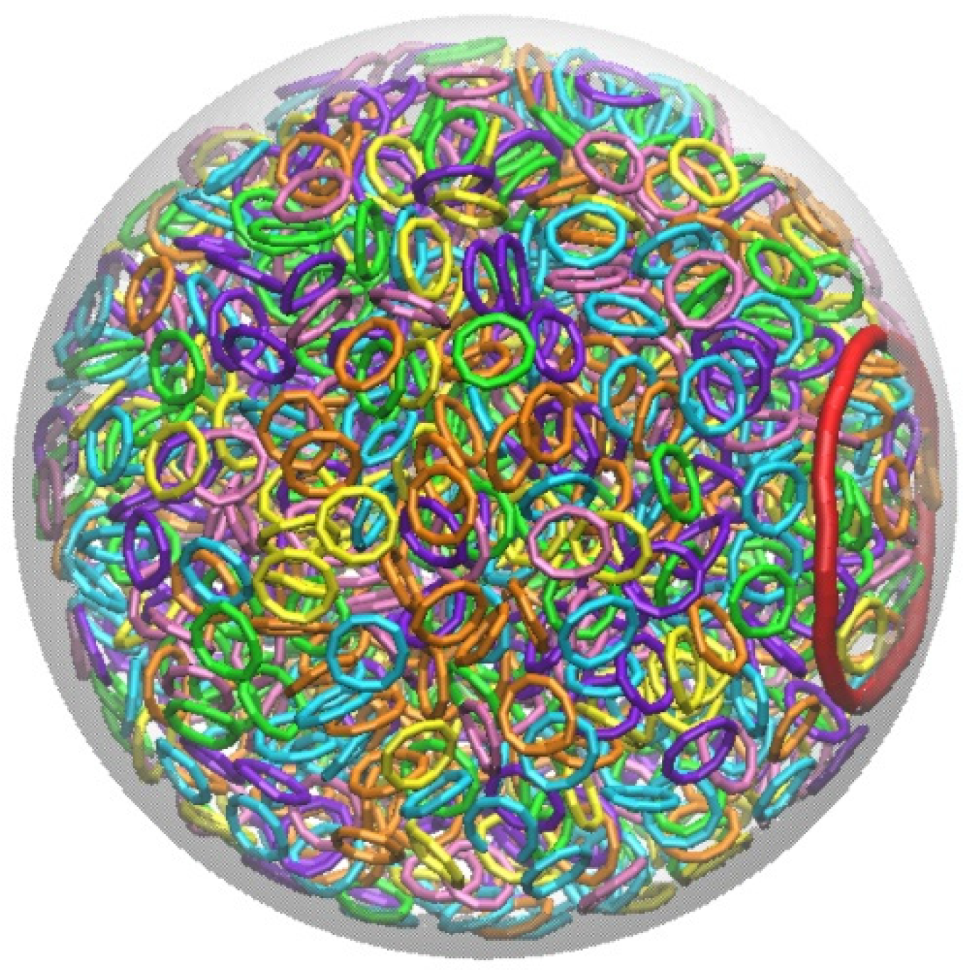 Biophysica 02 00044 g001