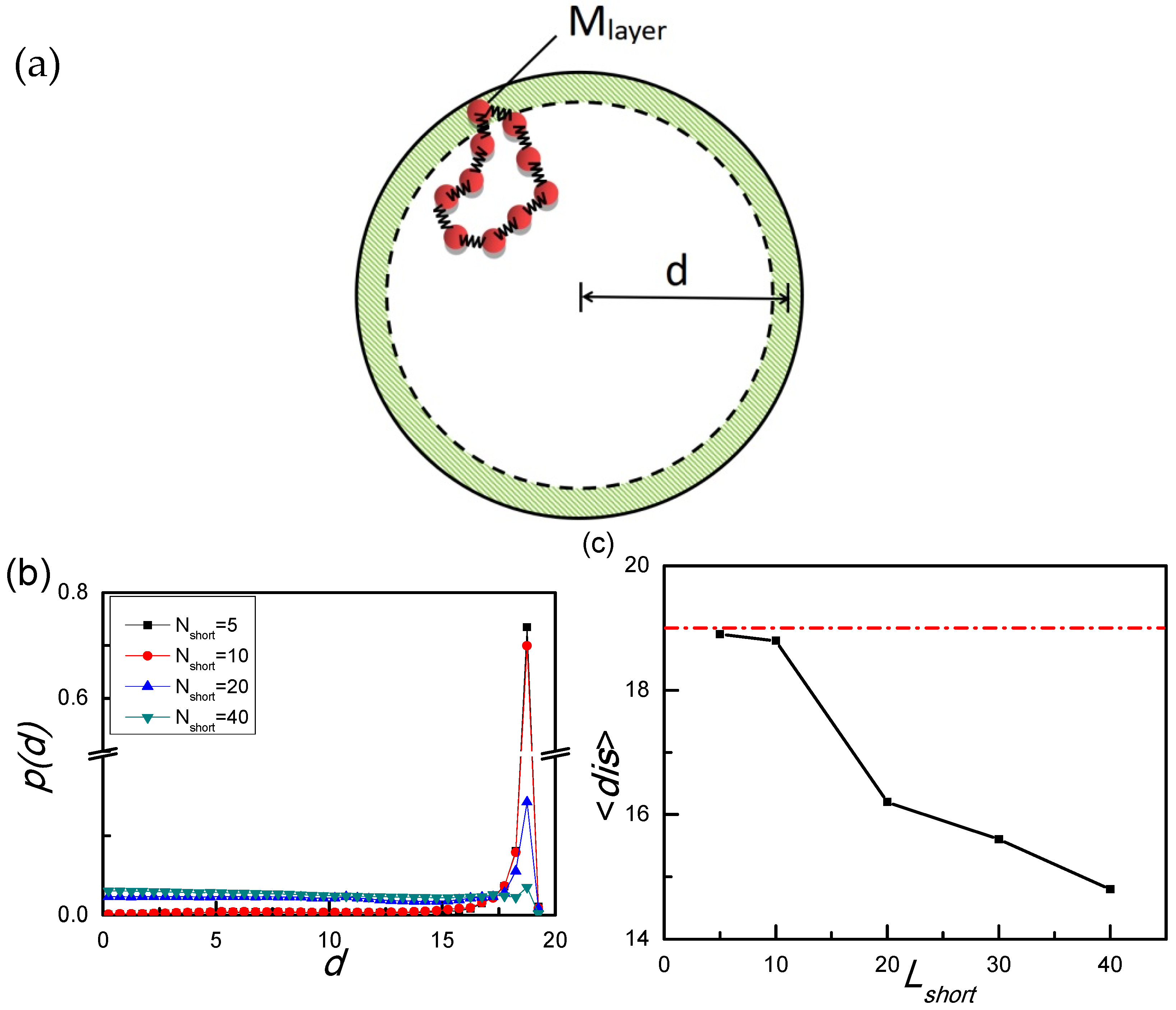 Biophysica 02 00044 g003
