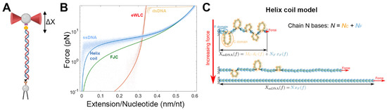 Biophysica 02 00047 g002